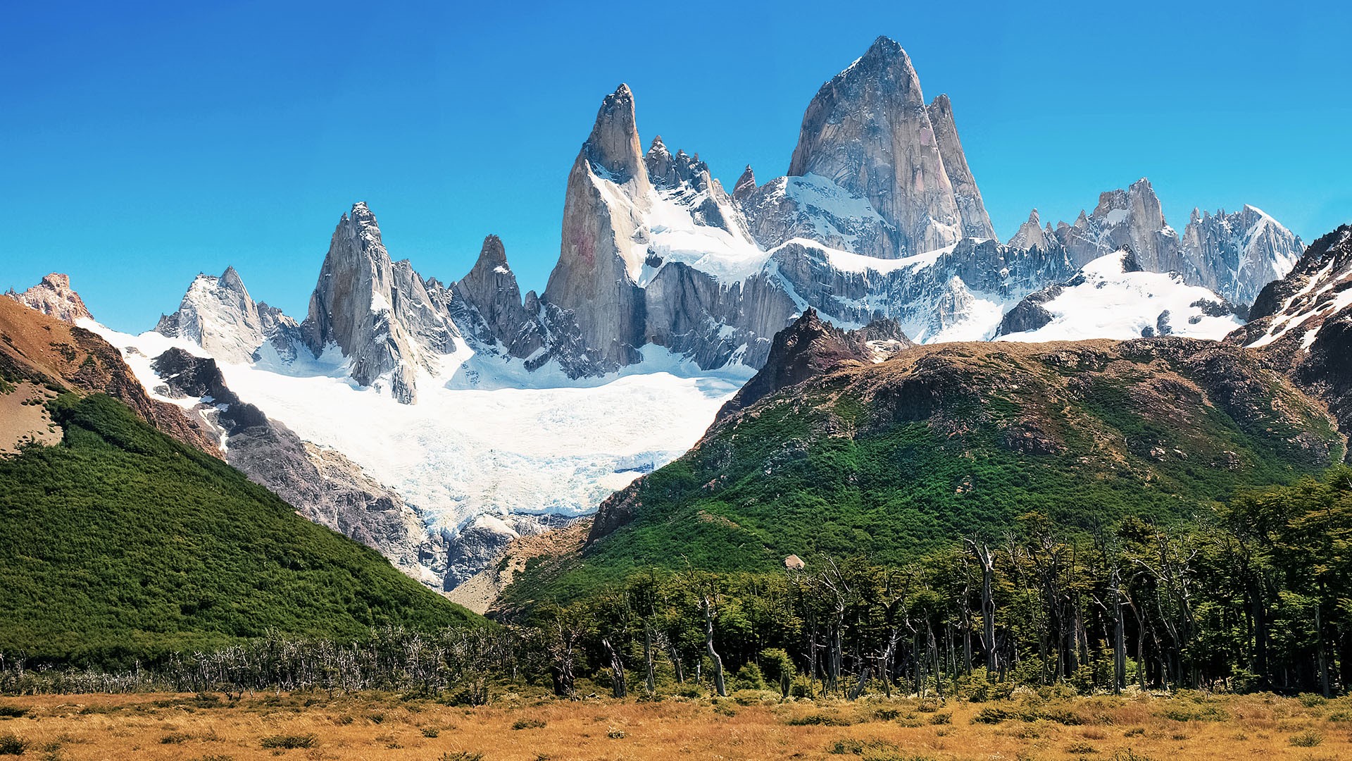 Landscape with Mt Fitz Roy, Los Glaciares National Park, El Chaltén, Patagonia, Argentina. Windows 10 Spotlight Image