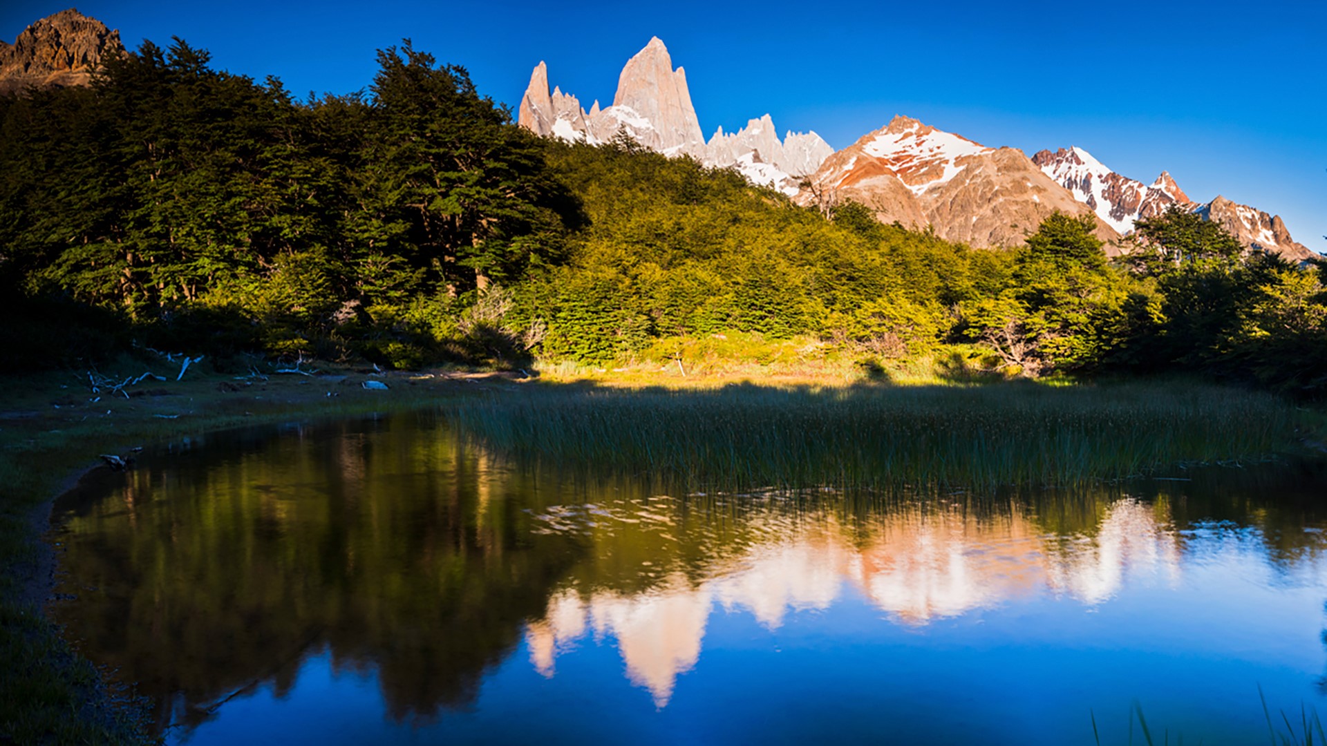 Mount Fitz Roy (Cerro Chalten) at sunrise, El Chaltén, Glaciers National Park, Argentina. Windows 10 Spotlight Image
