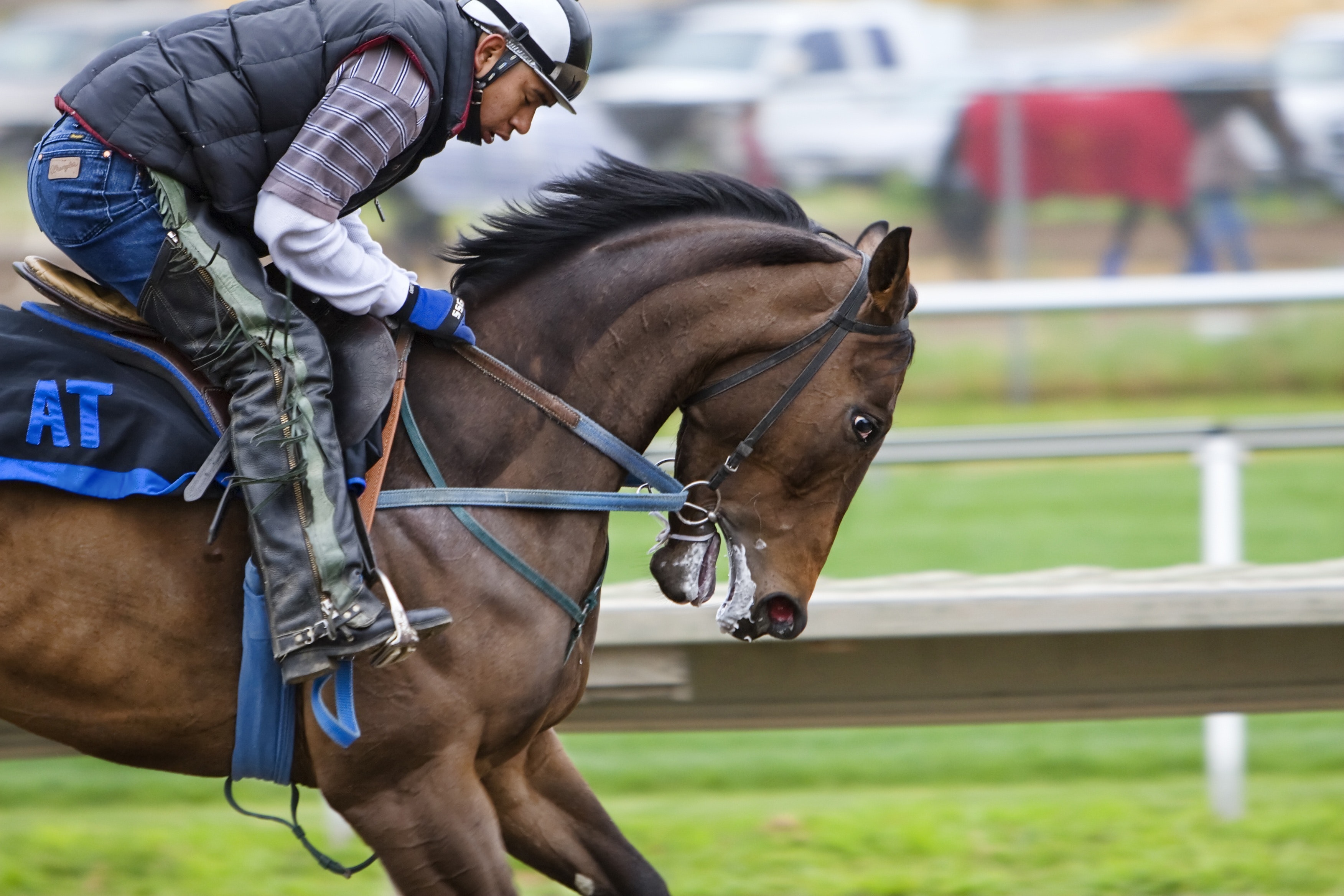 Horse Race Photo, Download The BEST Free Horse Race & HD Image