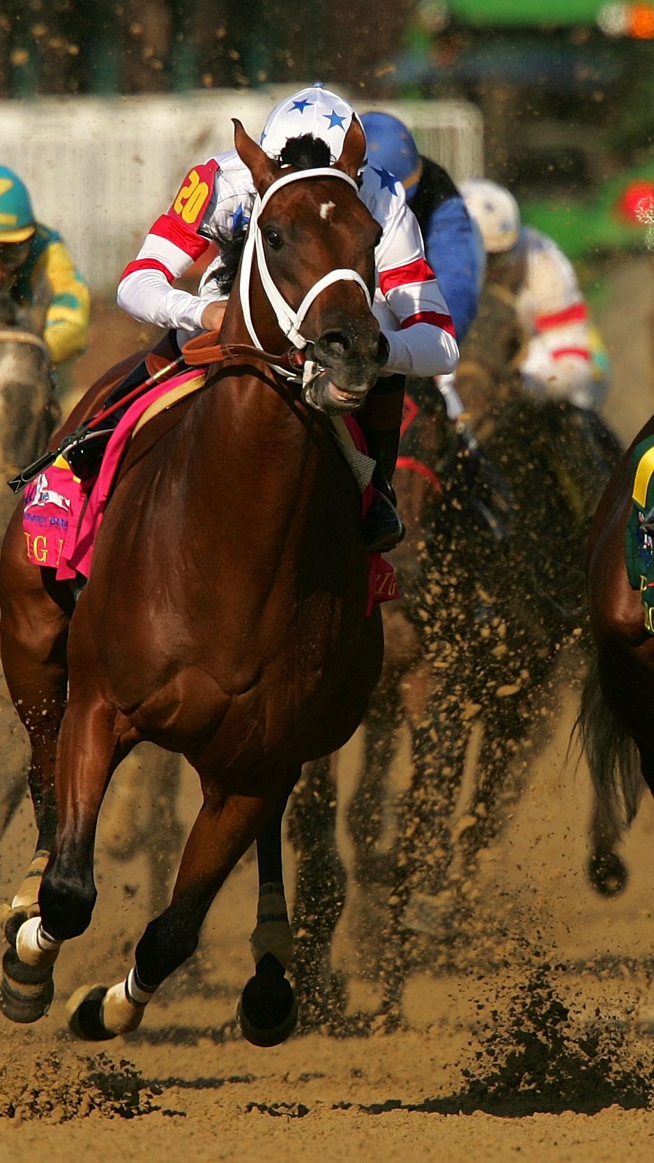 Horses race. Horses, Horse racing, Sports wallpaper