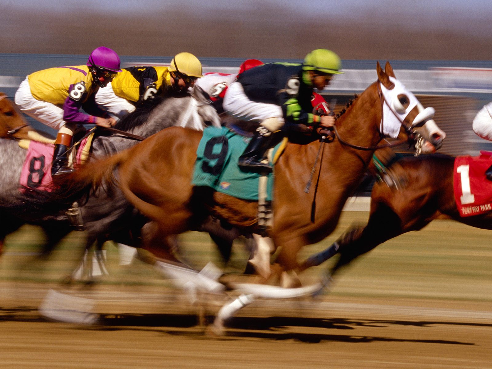 Horse Racing wallpaper. Horse Racing