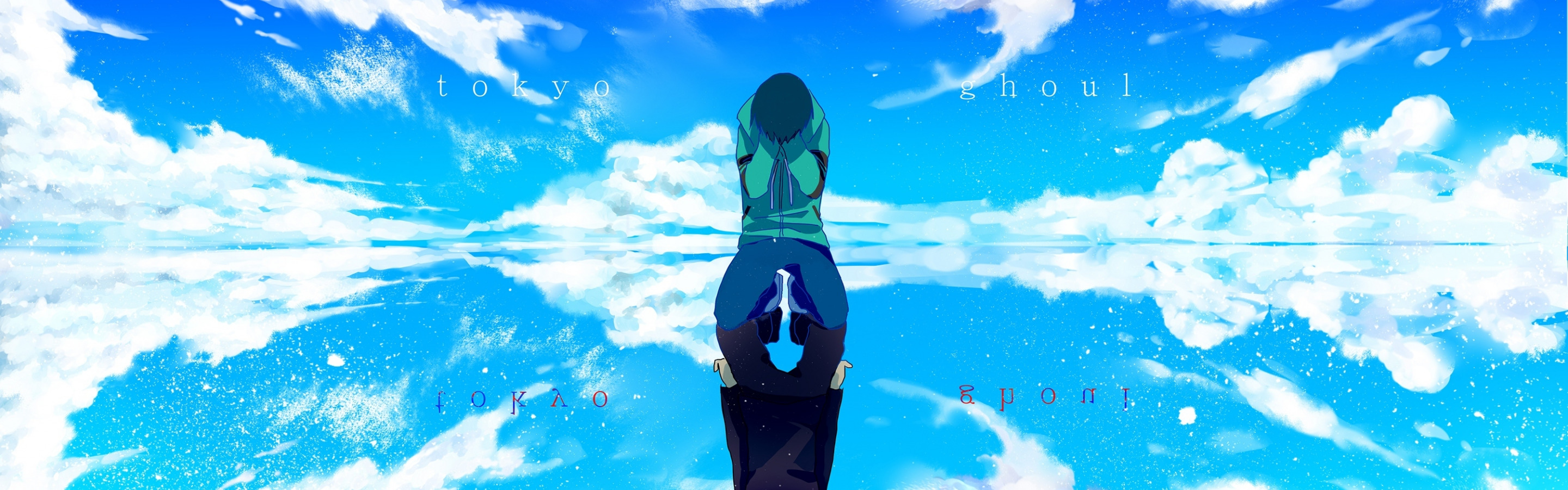 Download wallpaper the sky, water, clouds, reflection, anime, art, guy, tokyo ghoul, Ken kanek, winni, section seinen in resolution 2880x900