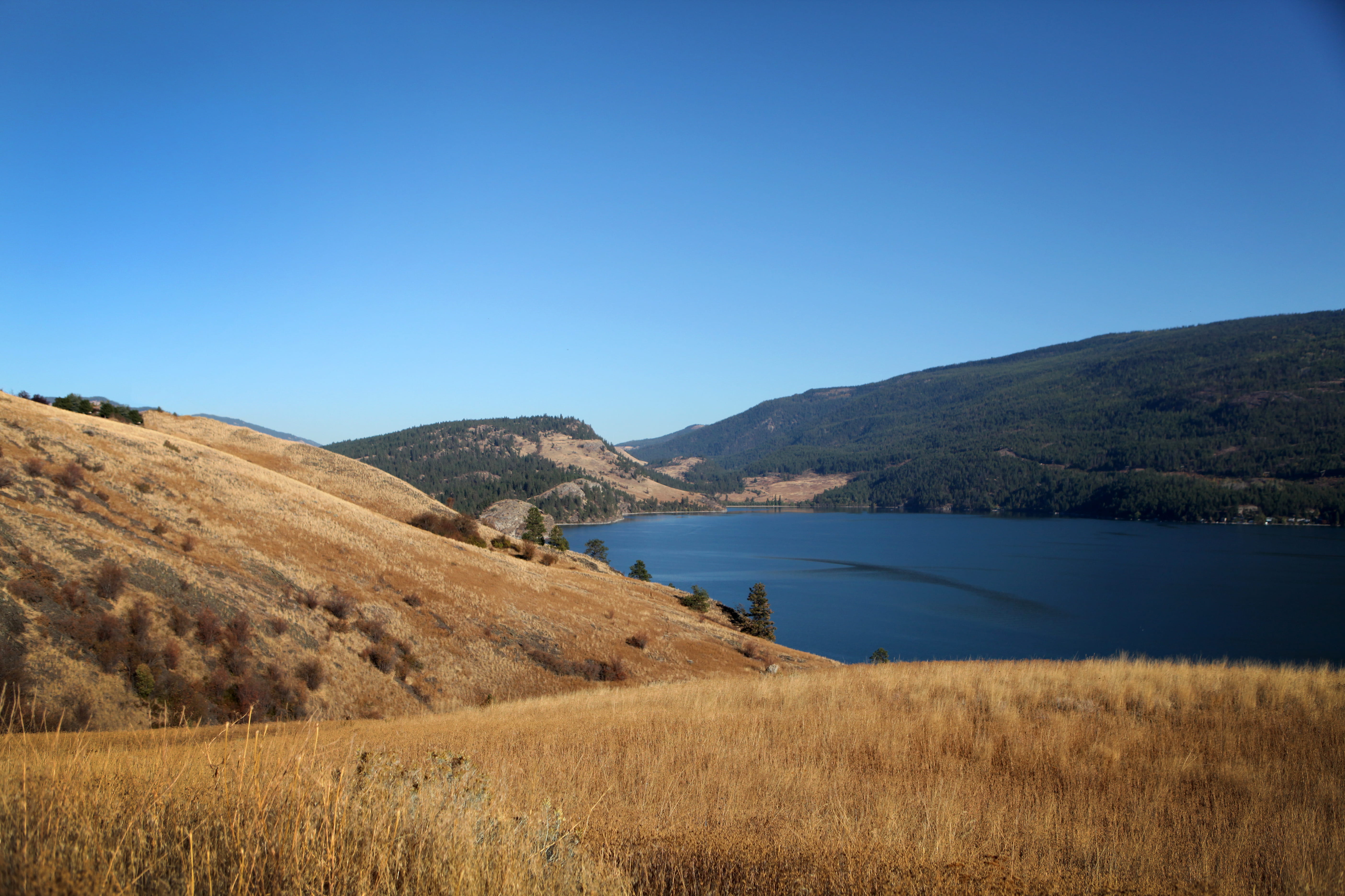 Wallpaper / lake, mountain, trees, hills, no people, nature, kelowna, grassland, beauty in nature, sky, environment, canada, outdoors, tranquility, clear sky, tranquil scene free download