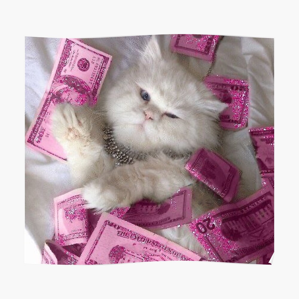 Cats With Money Wallpapers - Wallpaper Cave