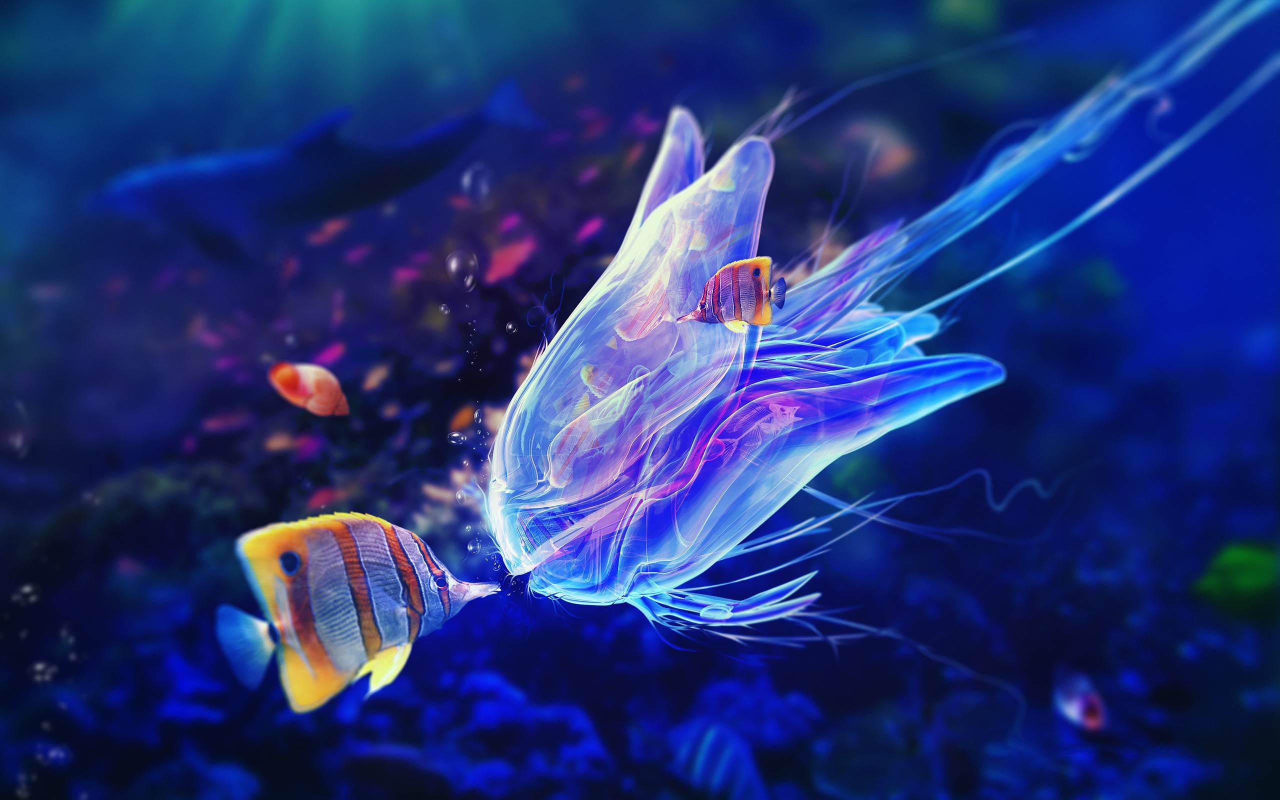 jellyfish, fish, sea, colorful, underwater, animals Gallery HD Wallpaper