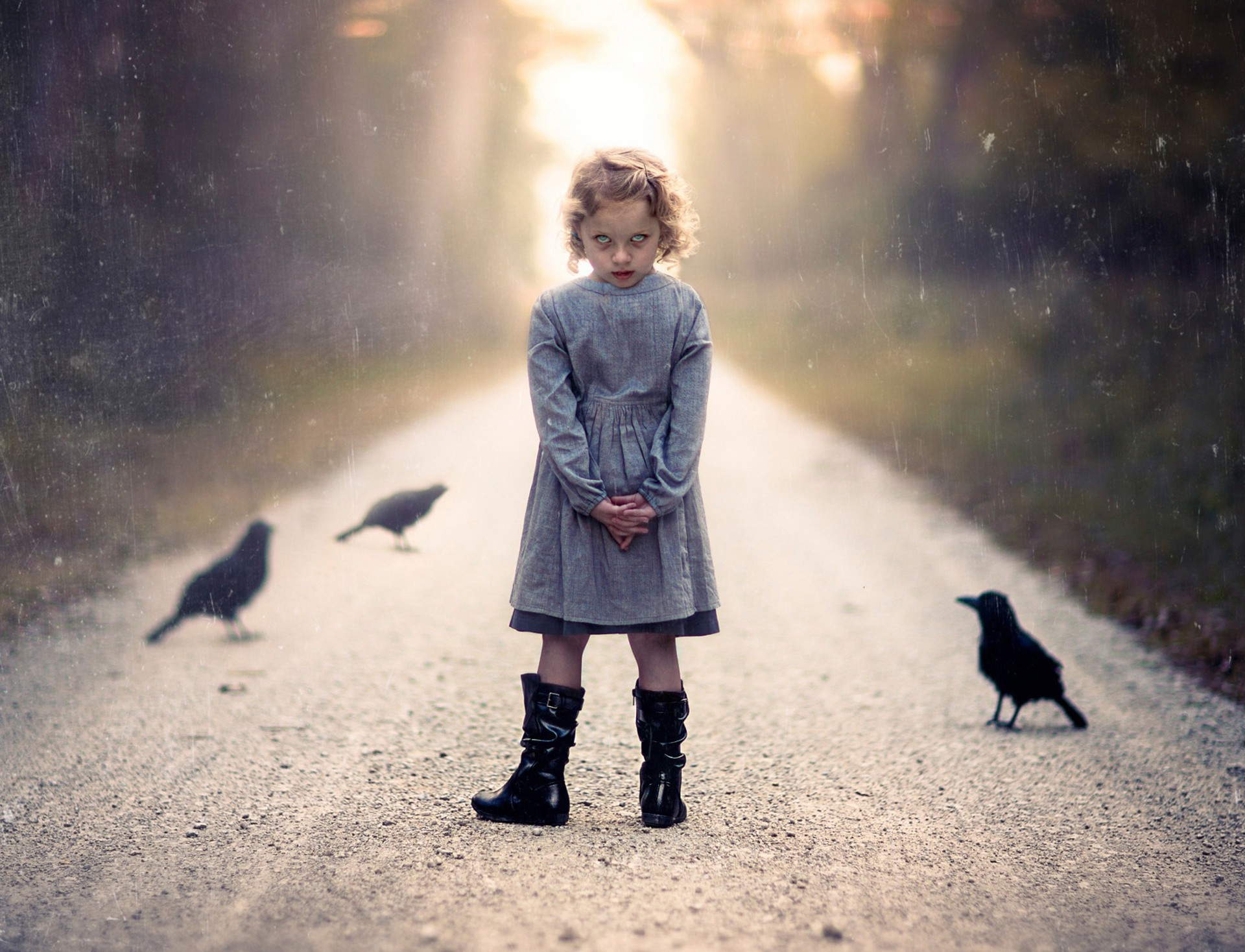 Wallpaper, sunlight, birds, horror, children, shadow, snow, winter, blue, morning, emotion, evil, light, child, weather, beauty, season, photograph, darkness, 1920x1468 px 1920x1468