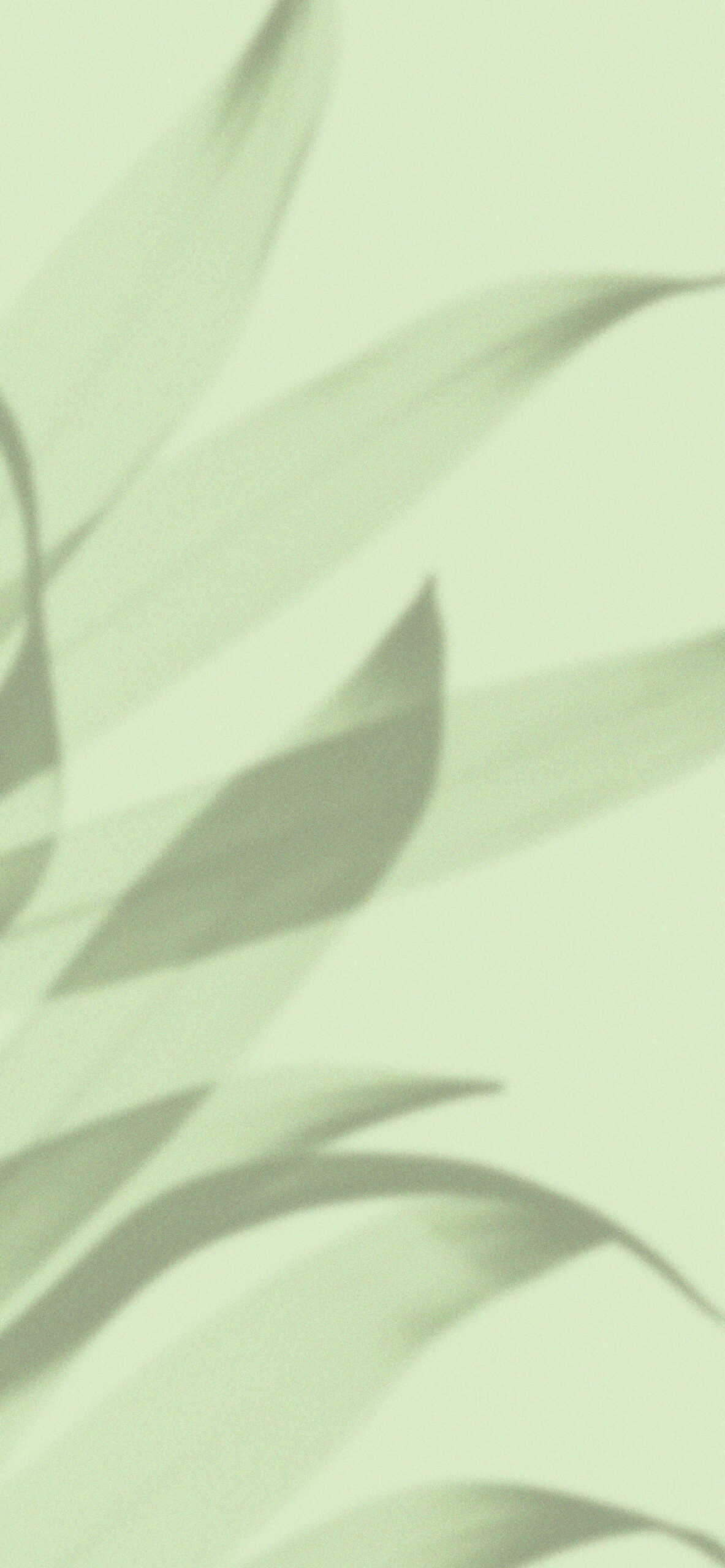 Forest Aesthetic Light Green Wallpaper