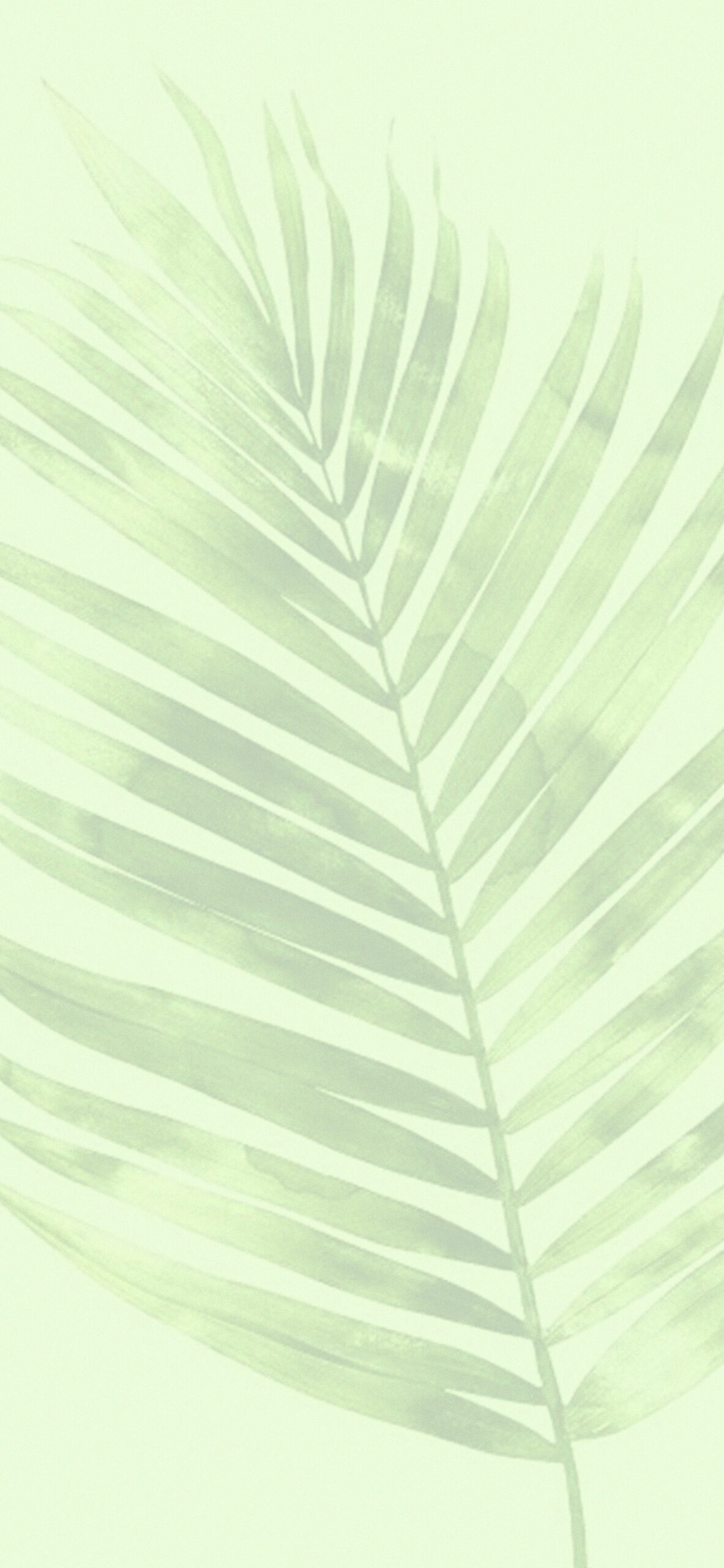 Forest Aesthetic Light Green Wallpaper