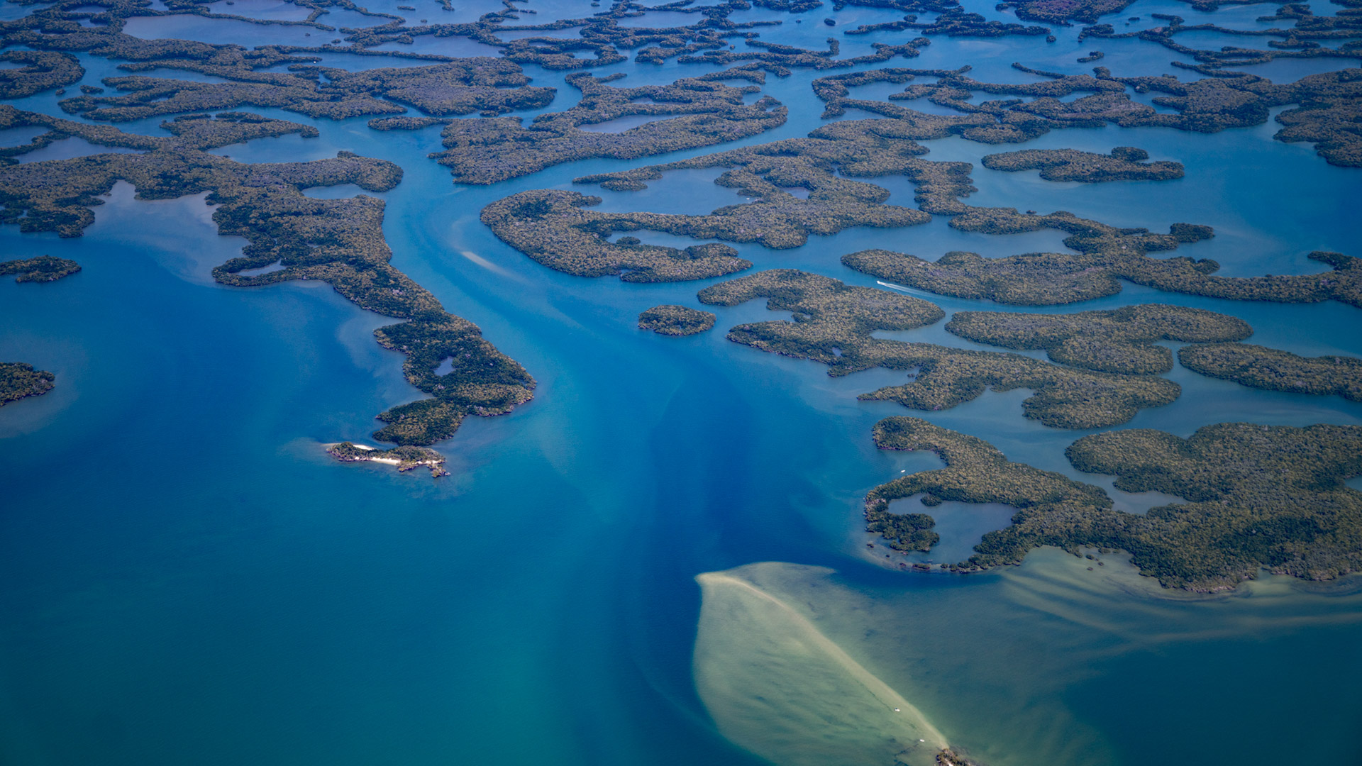 Florida's Ten Thousand Islands