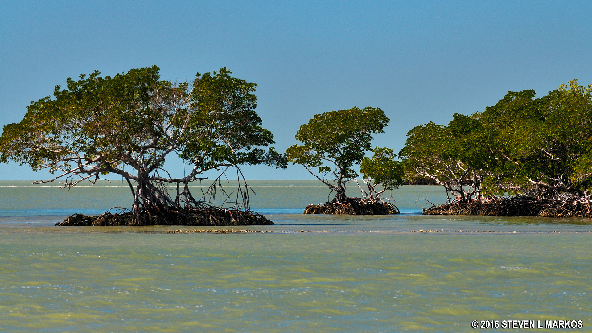 Everglades National Park,000 ISLANDS BOAT TOUR