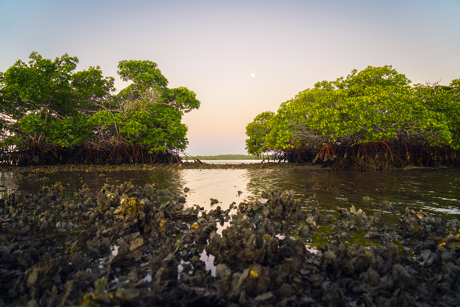Sea Level Rise Threatens Cultural Sites in the Everglades (U.S. National Park Service)