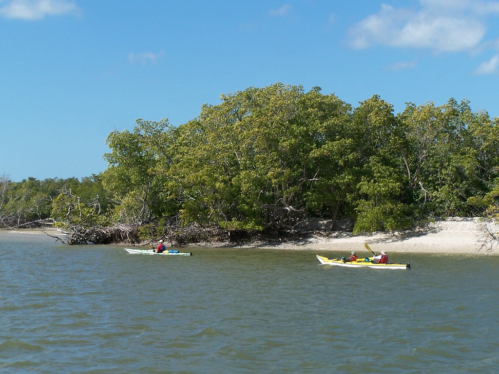 Ten Thousand Islands. The Ten Thousand Islands are a chain