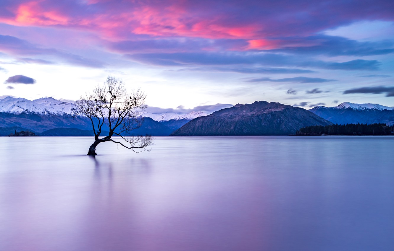 Wanaka Wallpapers - Wallpaper Cave