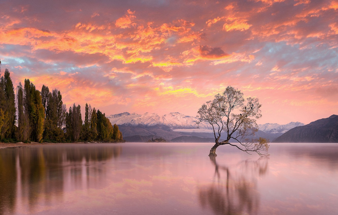 Wallpaper the sky, trees, sunset, lake, New Zealand, New Zealand, Lake Wanaka image for desktop, section природа