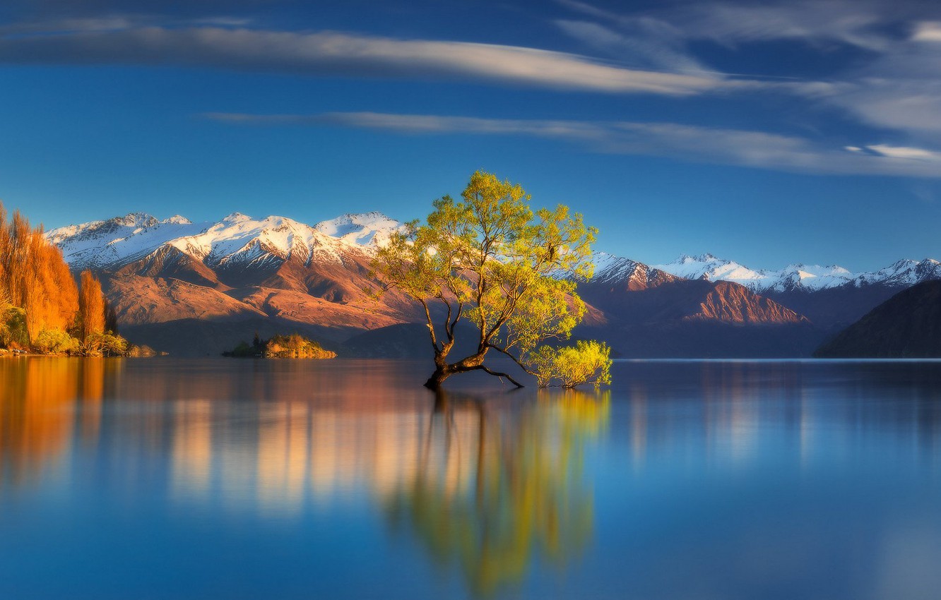 Wallpaper mountains, lake, tree, New Zealand, Lake Wanaka image for desktop, section пейзажи