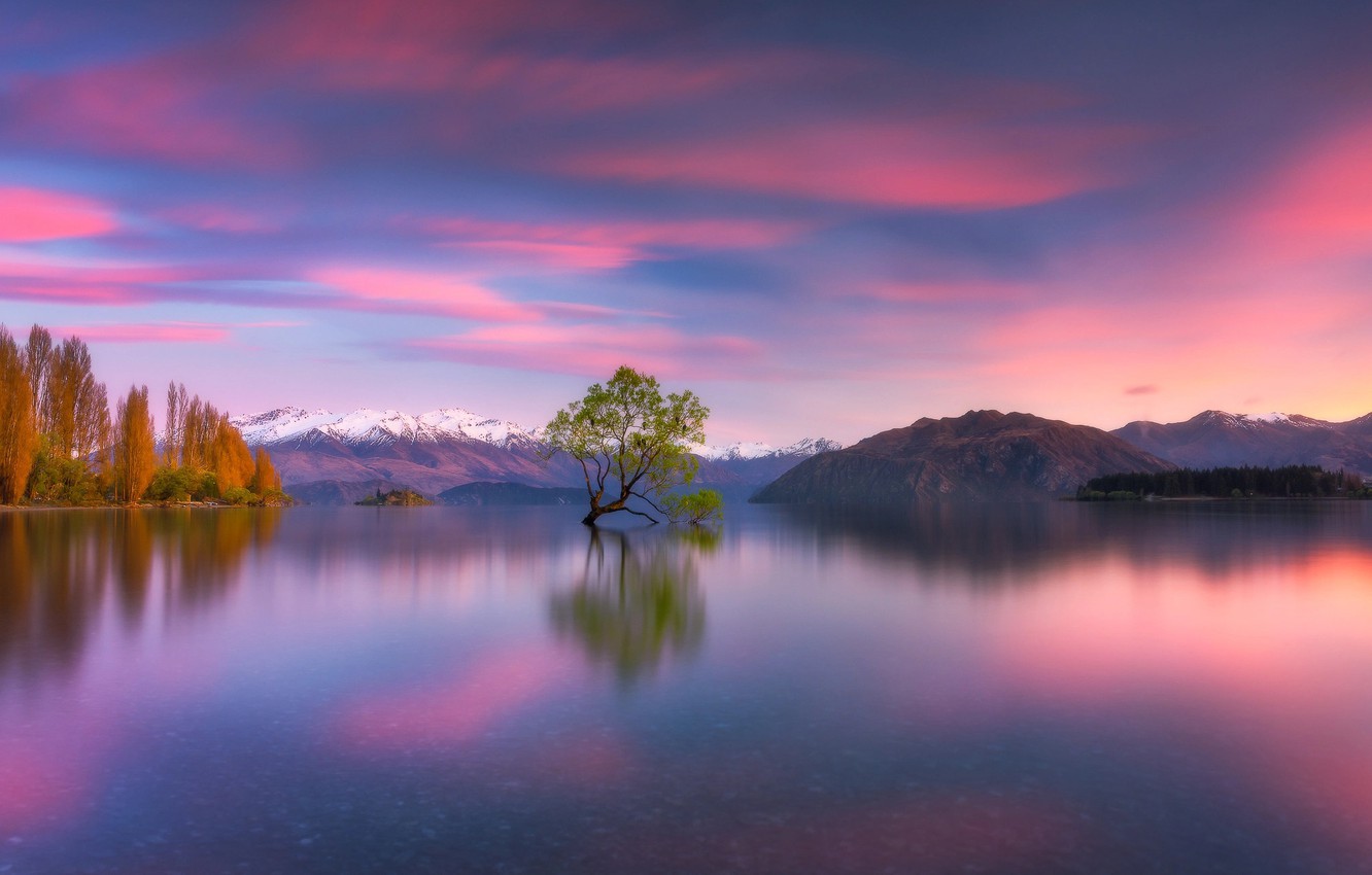 Wallpaper mountains, lake, tree, New Zealand, New Zealand, Lake Wanaka, Southern Alps, Southern Alps, Lake Wanaka image for desktop, section пейзажи