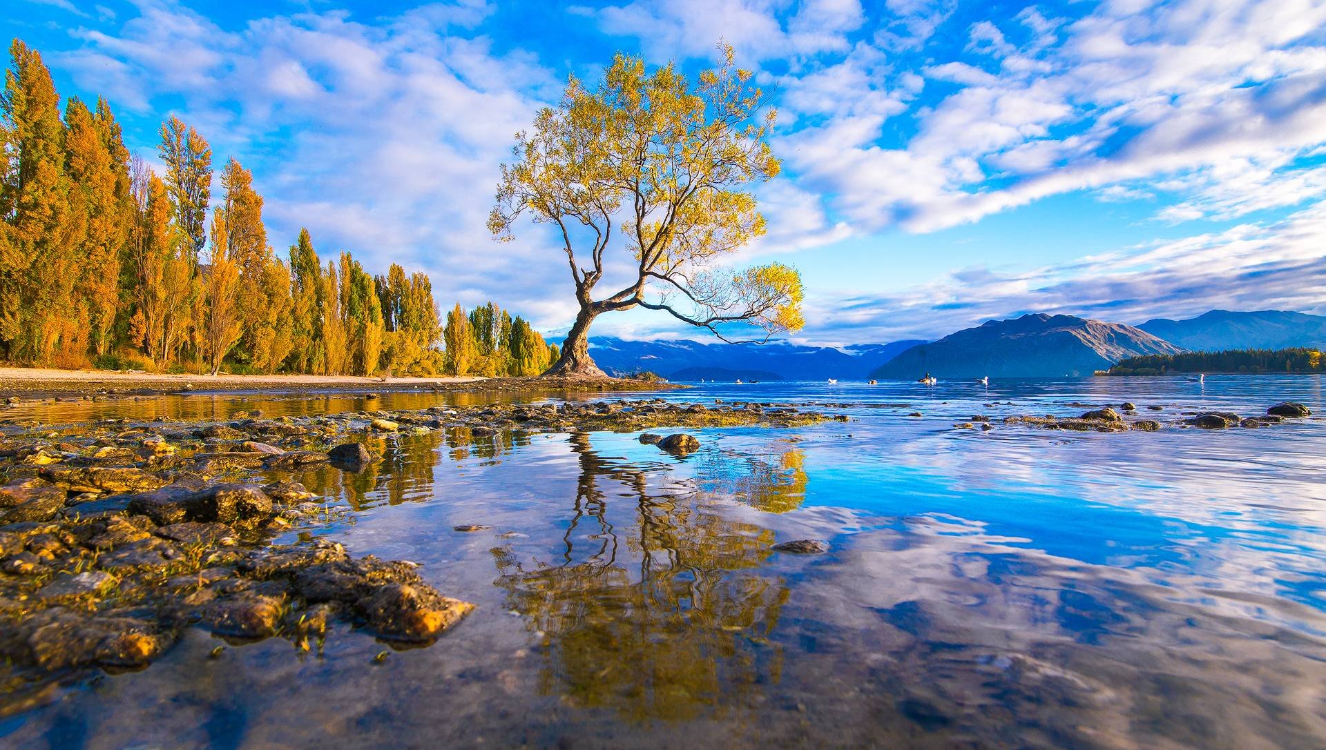 Lake Wanaka New Zealand HD Wallpaper