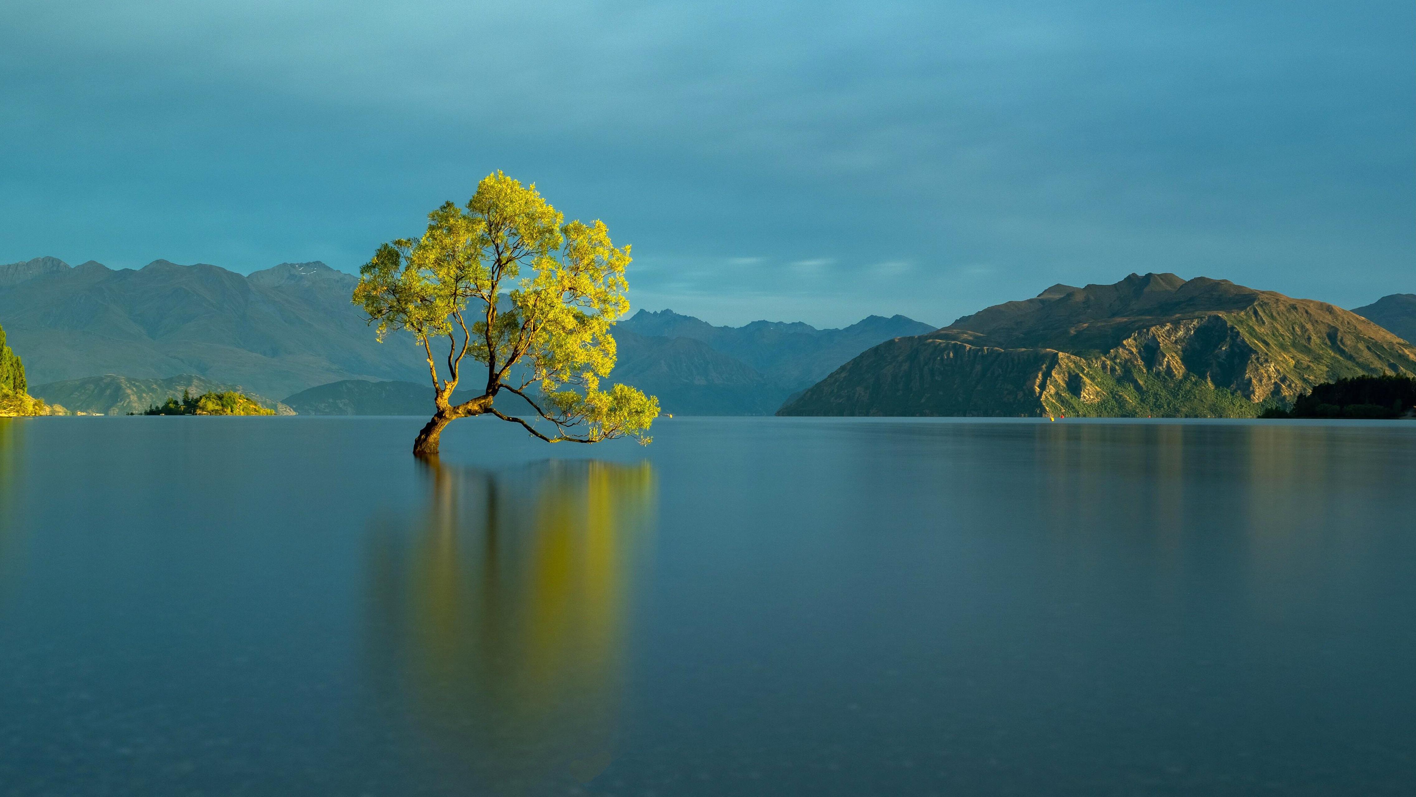 Wanaka 4K wallpaper for your desktop or mobile screen free and easy to download