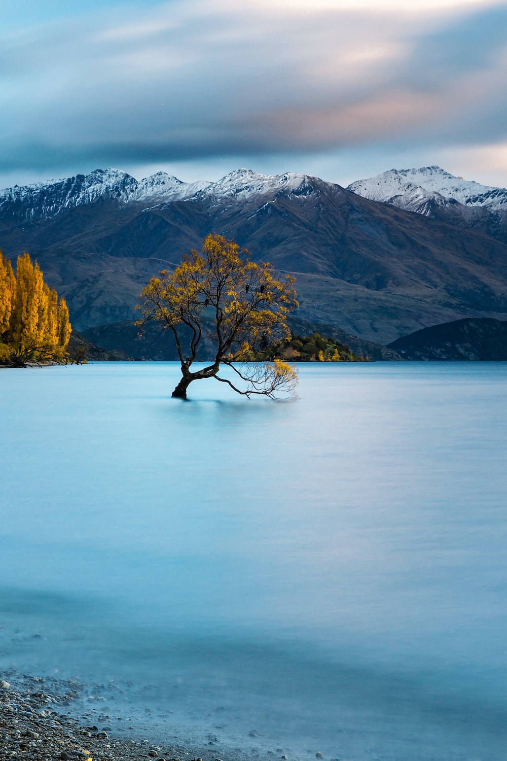 Wanaka Picture. Download Free Image