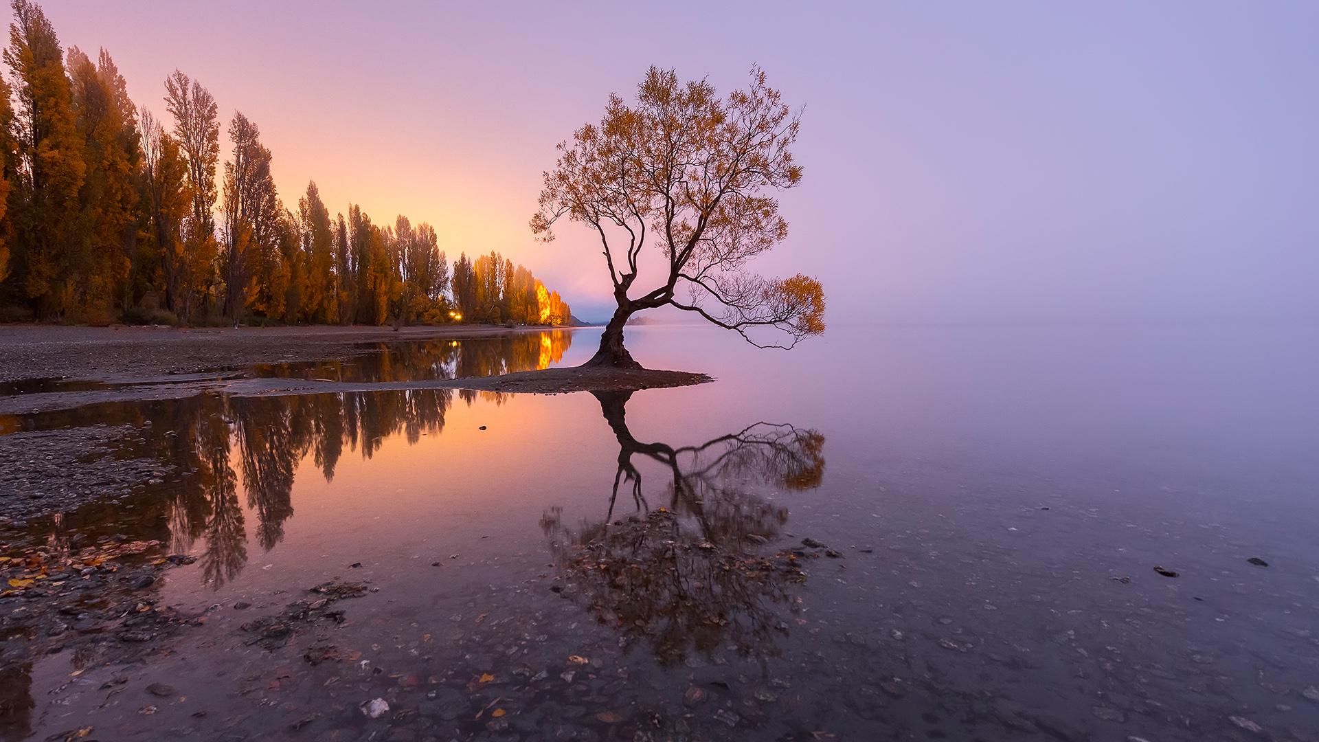 Wallpaper, nature, landscape, trees, forest, reflection, water refletion, rocks, clear sky, Lake Wanaka, New Zealand 1920x1080