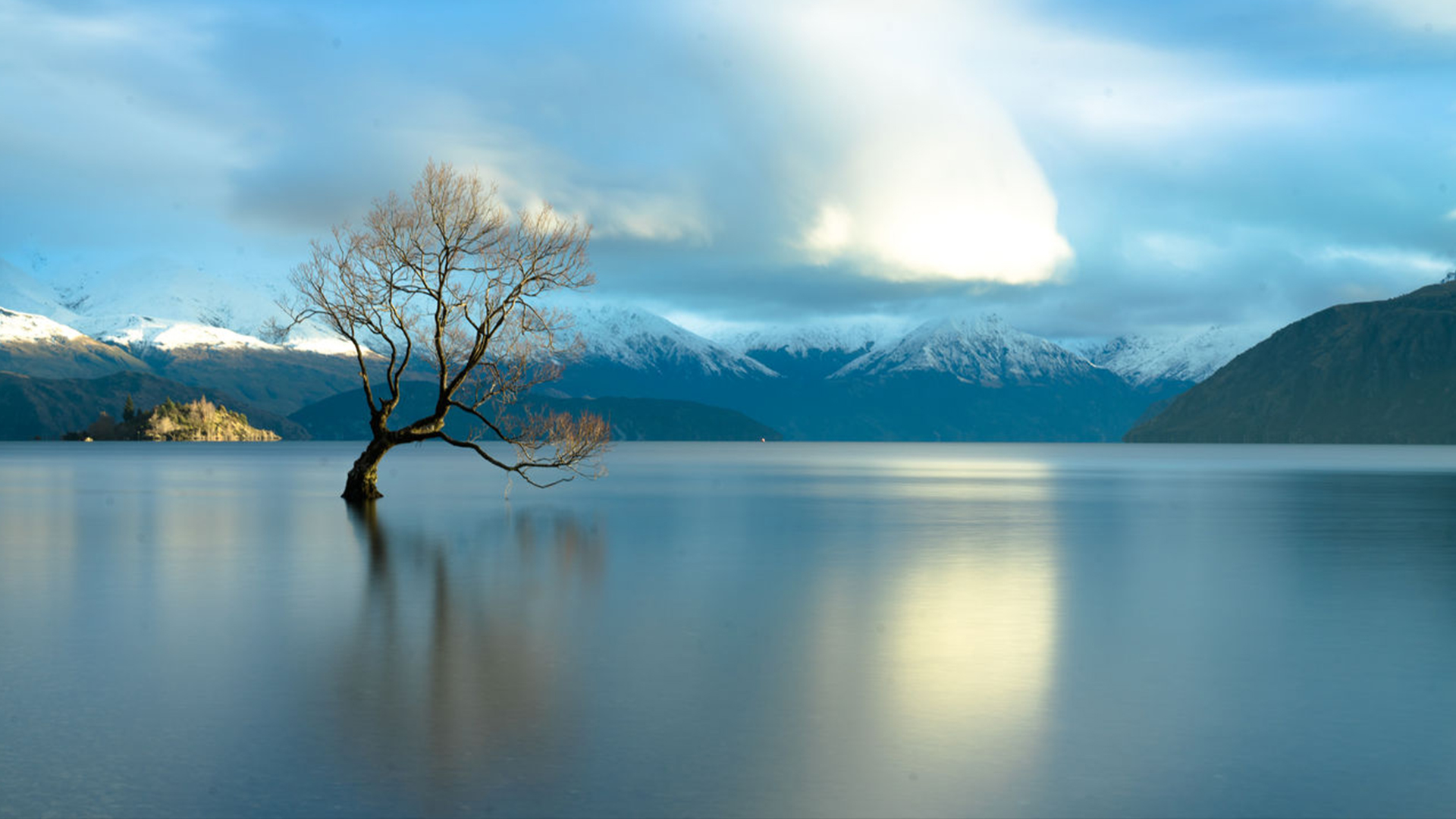 Famous lone tree on lake Wanaka, New Zealand. Windows 10 Spotlight Image