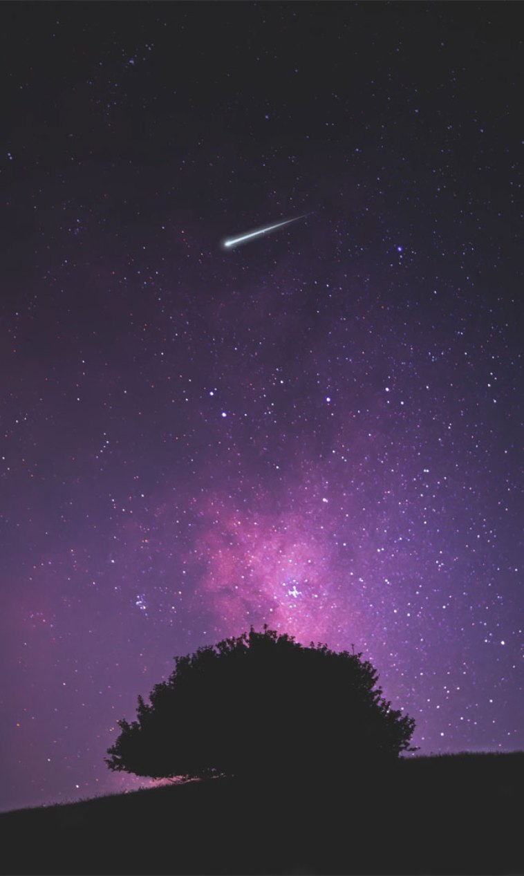 Beautiful night sky with shooting star Wallpaper