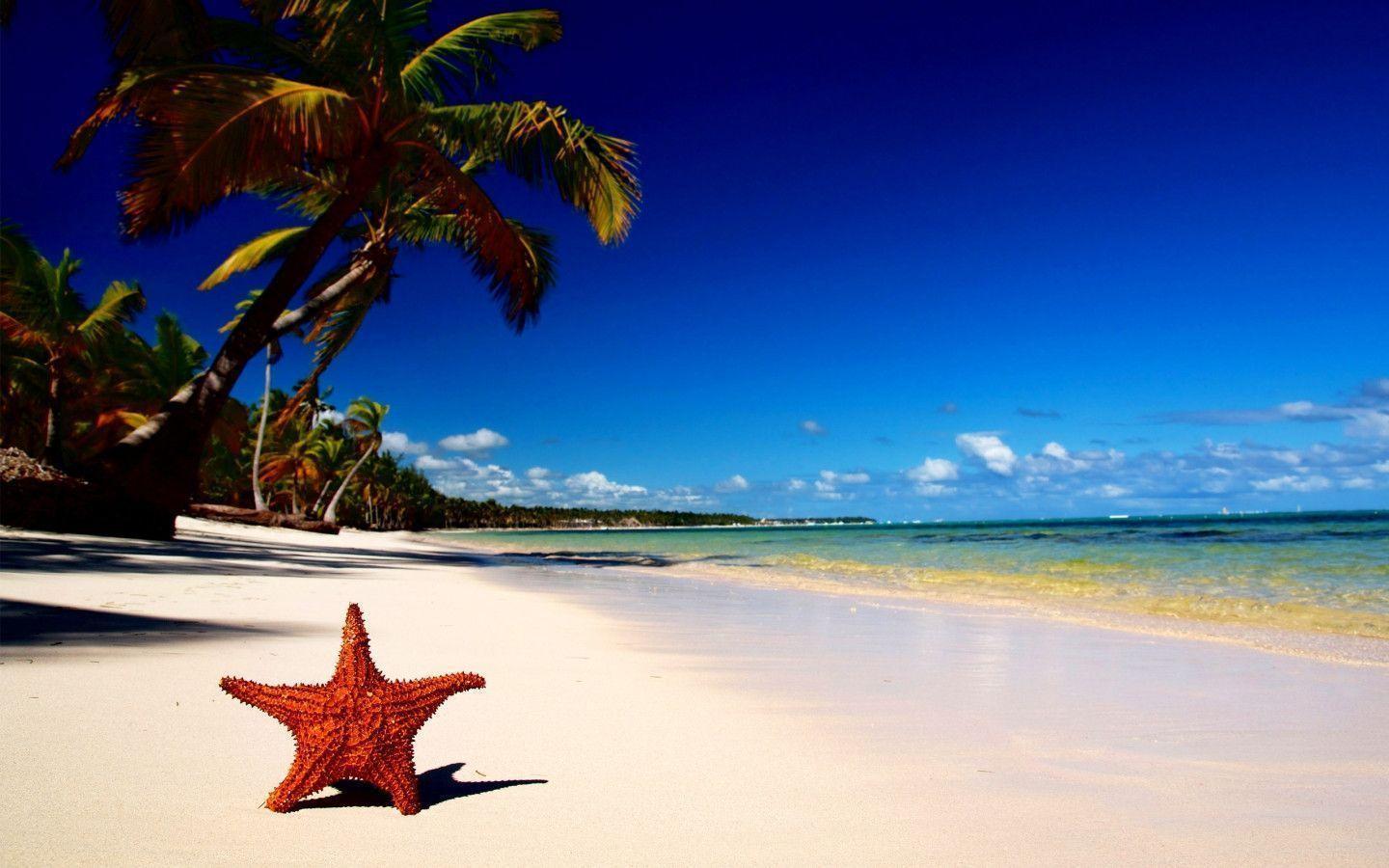 Summertime Wallpaper