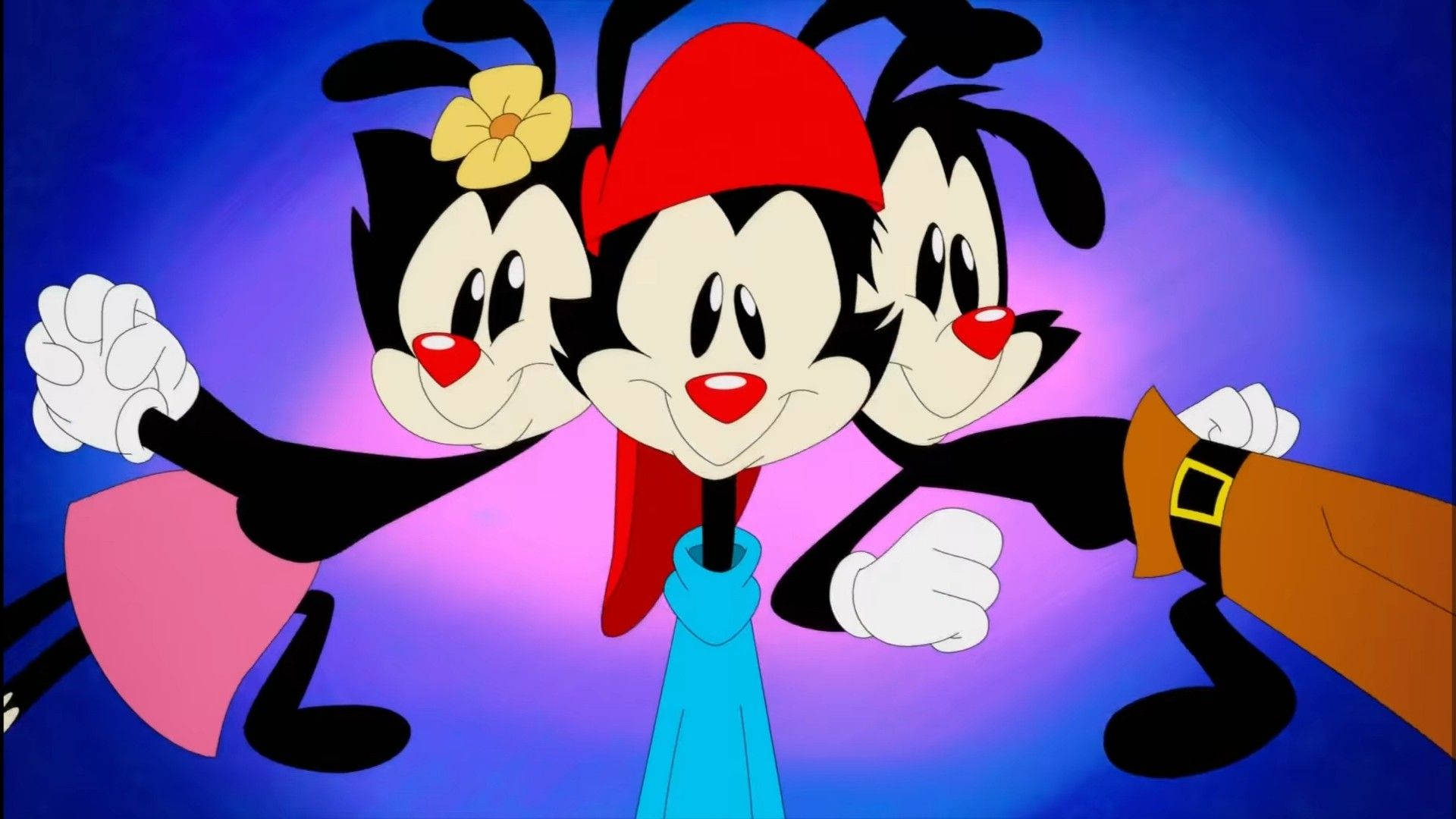 Animaniacs Wallpaper for FREE