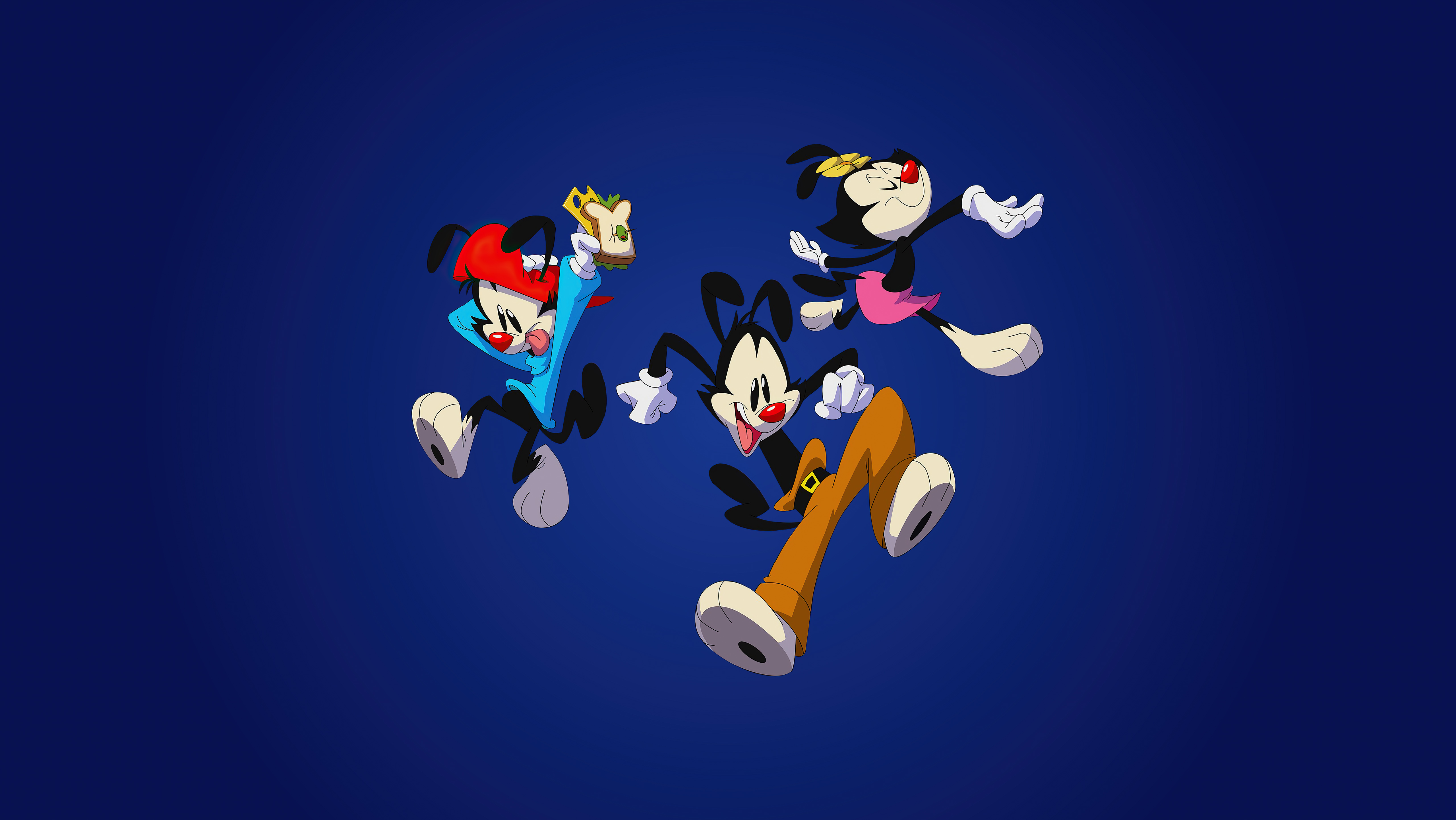 Animaniacs 4k Ultra HD Wallpaper