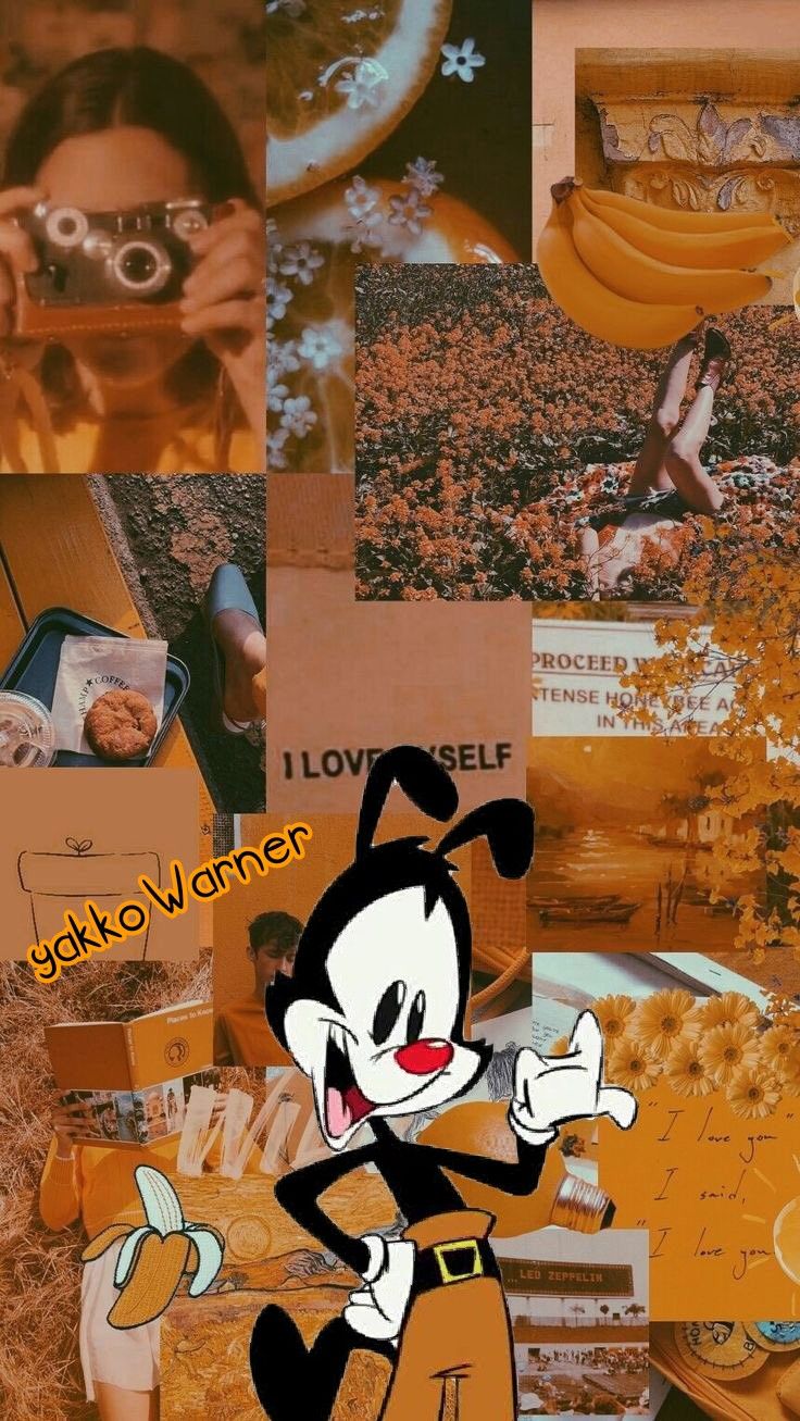 Fondo de pantalla aesthic de yakko Warner hecho por mi. Animaniacs, Yakko, Wakko