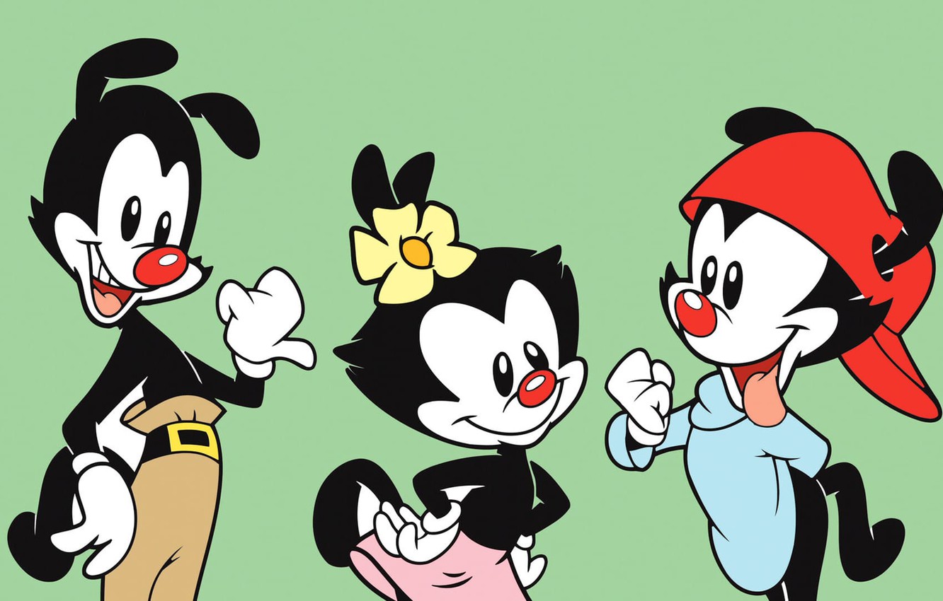 Wallpaper Animaniacs, Dot, Wakko, Yakko, Warner, Naughty animoticons, animoticons image for desktop, section игры