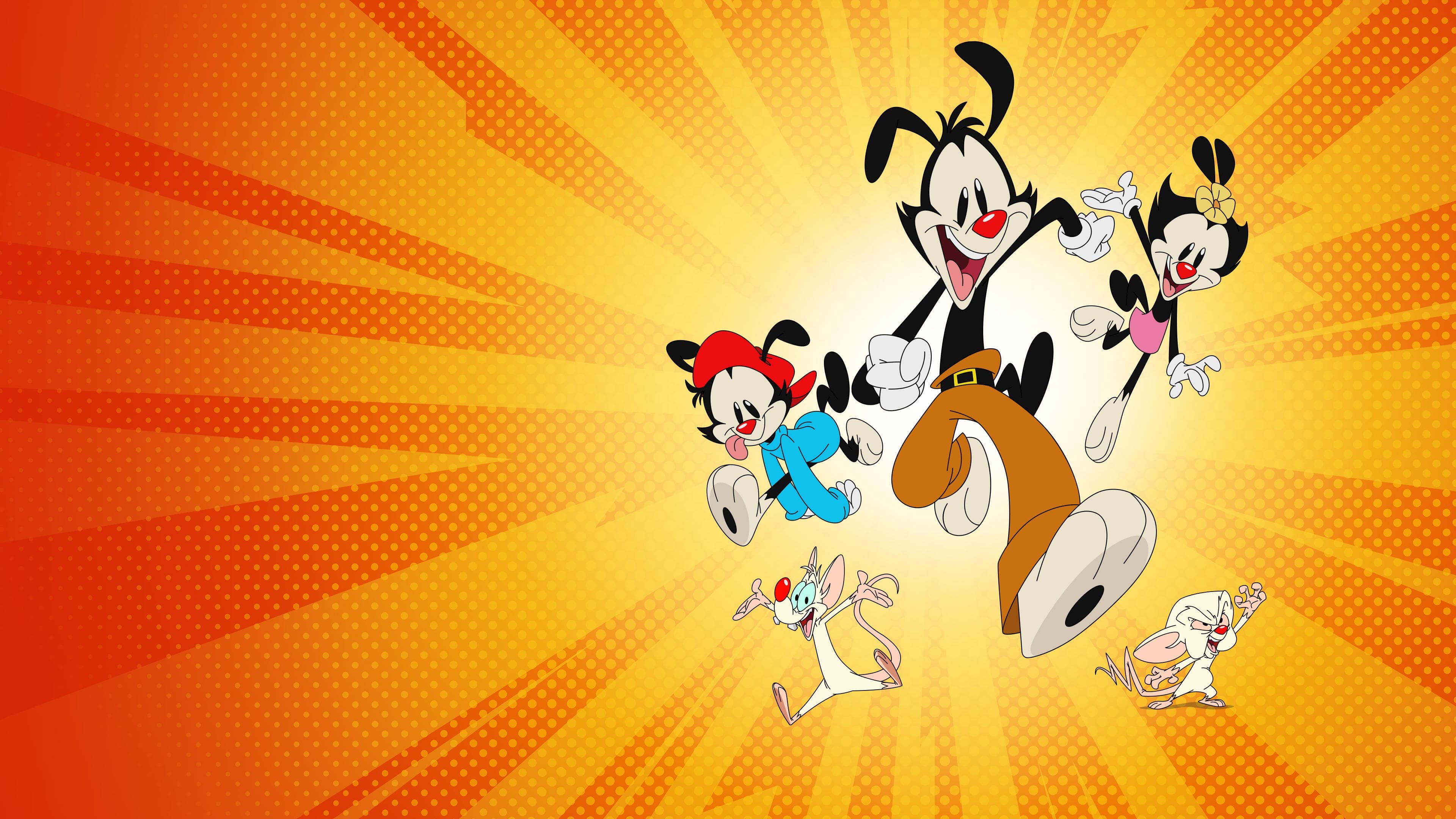Wakko Warner HD Wallpaper and Background