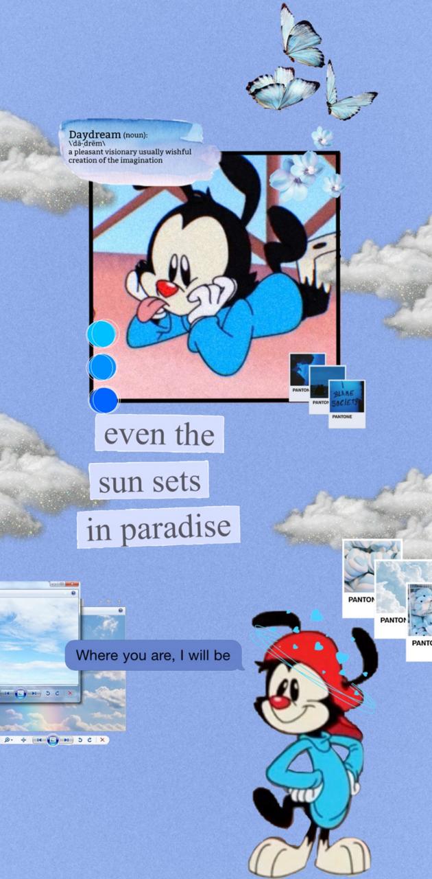 Wakko Warner wallpaper