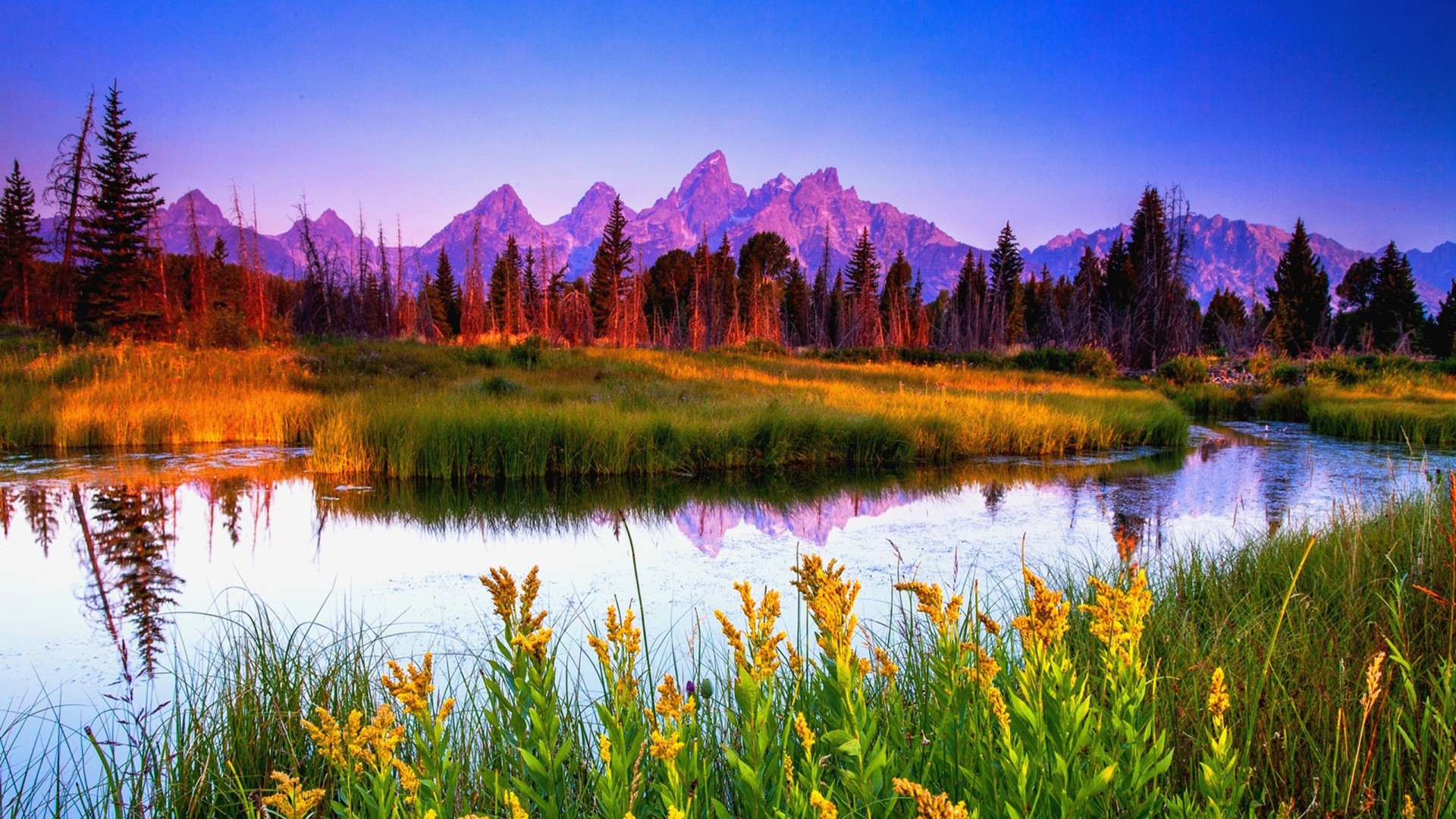 Summer Sunrise At Teton National Park HD Wallpaper