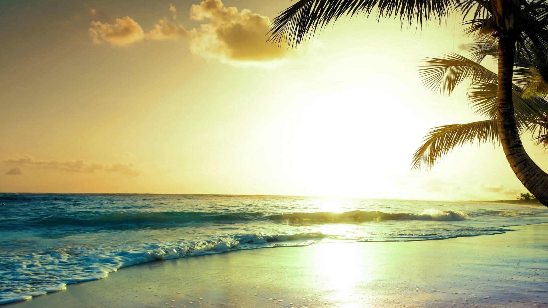 Download Summer Vibes Tropical Sunrise Wallpaper