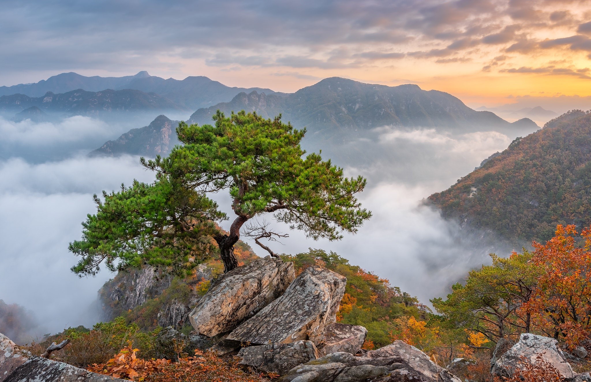 nature, landscape, rock, trees, Asia, mountains, South Korea Gallery HD Wallpaper