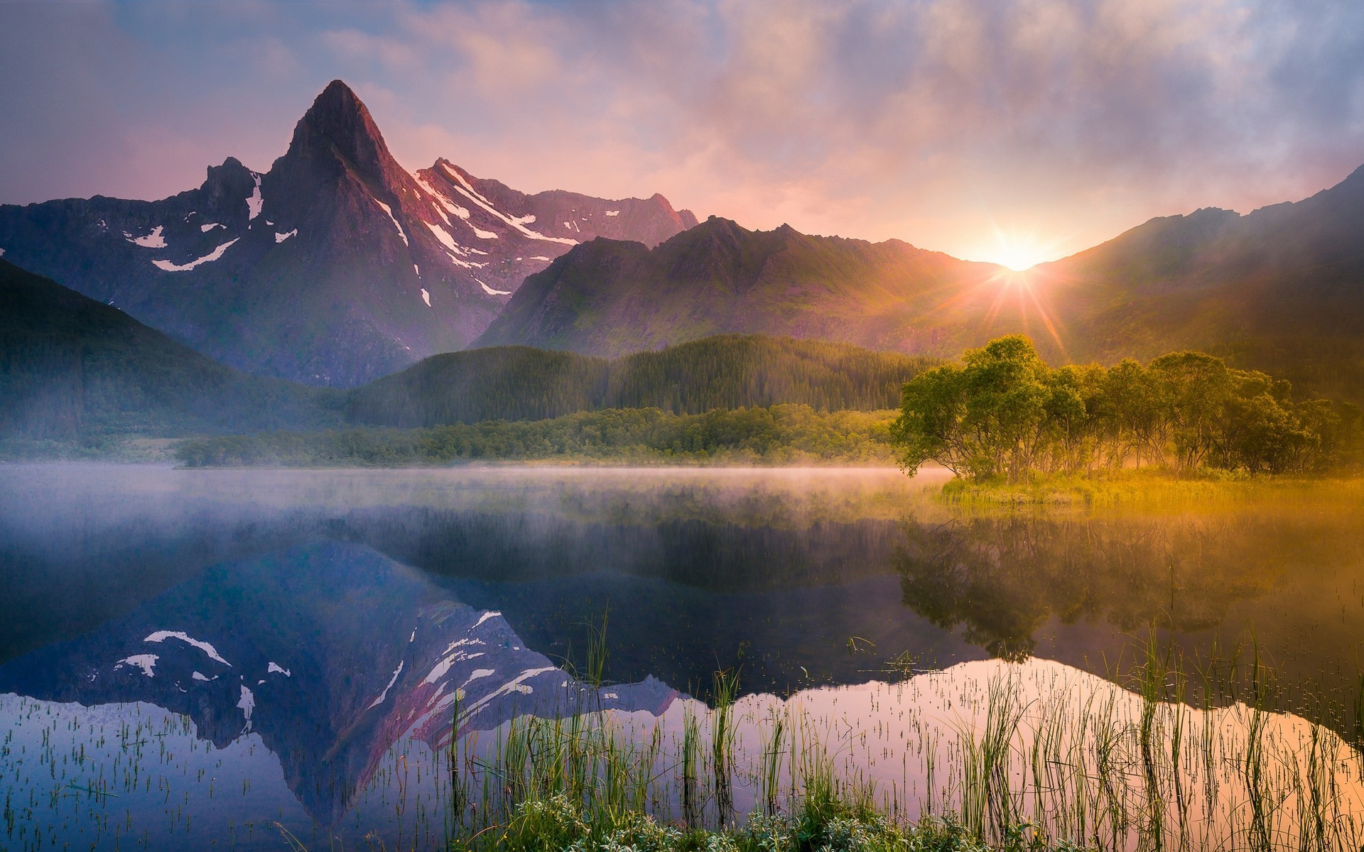 Wallpaper, 1920x1200 px, forest, lake, landscape, mist, mountain, nature, Norway, reflection, summer, sunrise, trees, water, wildflowers 1920x1200
