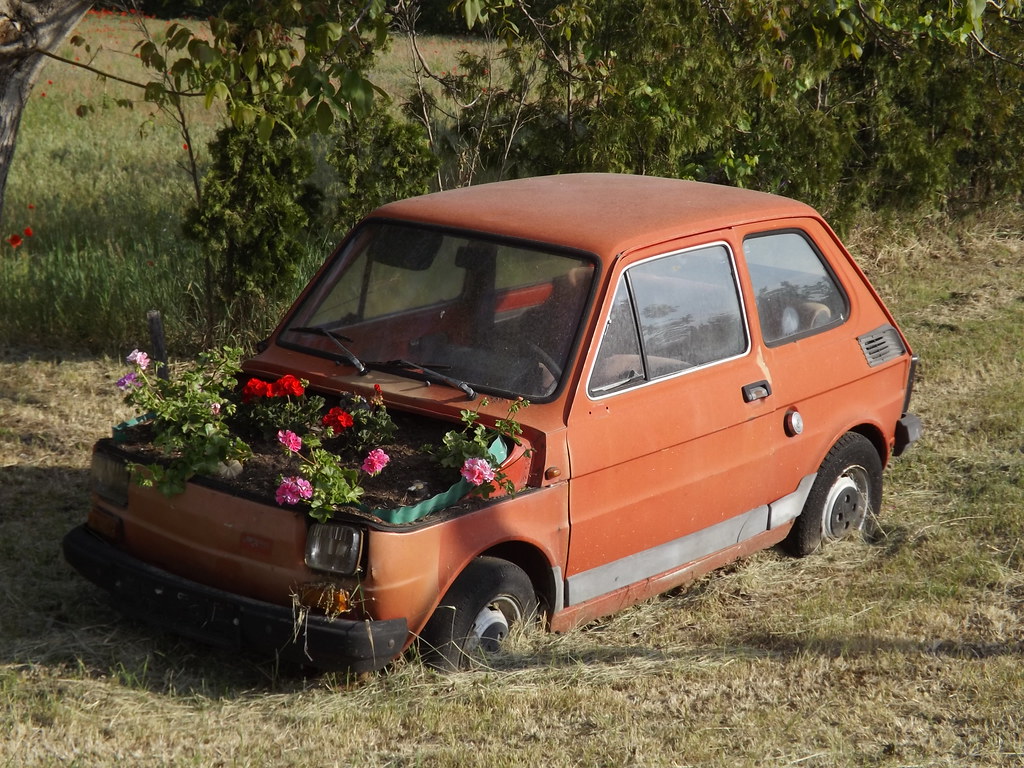 Polski Fiat 126P. Polski Fiat 126P used as a flower pot, se