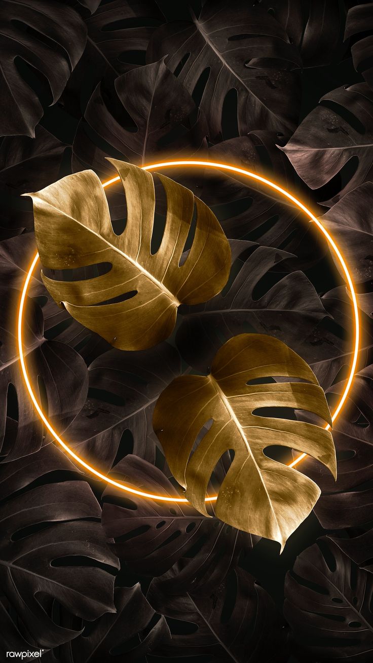 Free download Tropical golden neon lights frame phone screen wallpaper premium [736x1308] for your Desktop, Mobile & Tablet. Explore Tropical Nature Phone Wallpaper. Tropical Wallpaper, Wallpaper Tropical, Tropical Beach Background