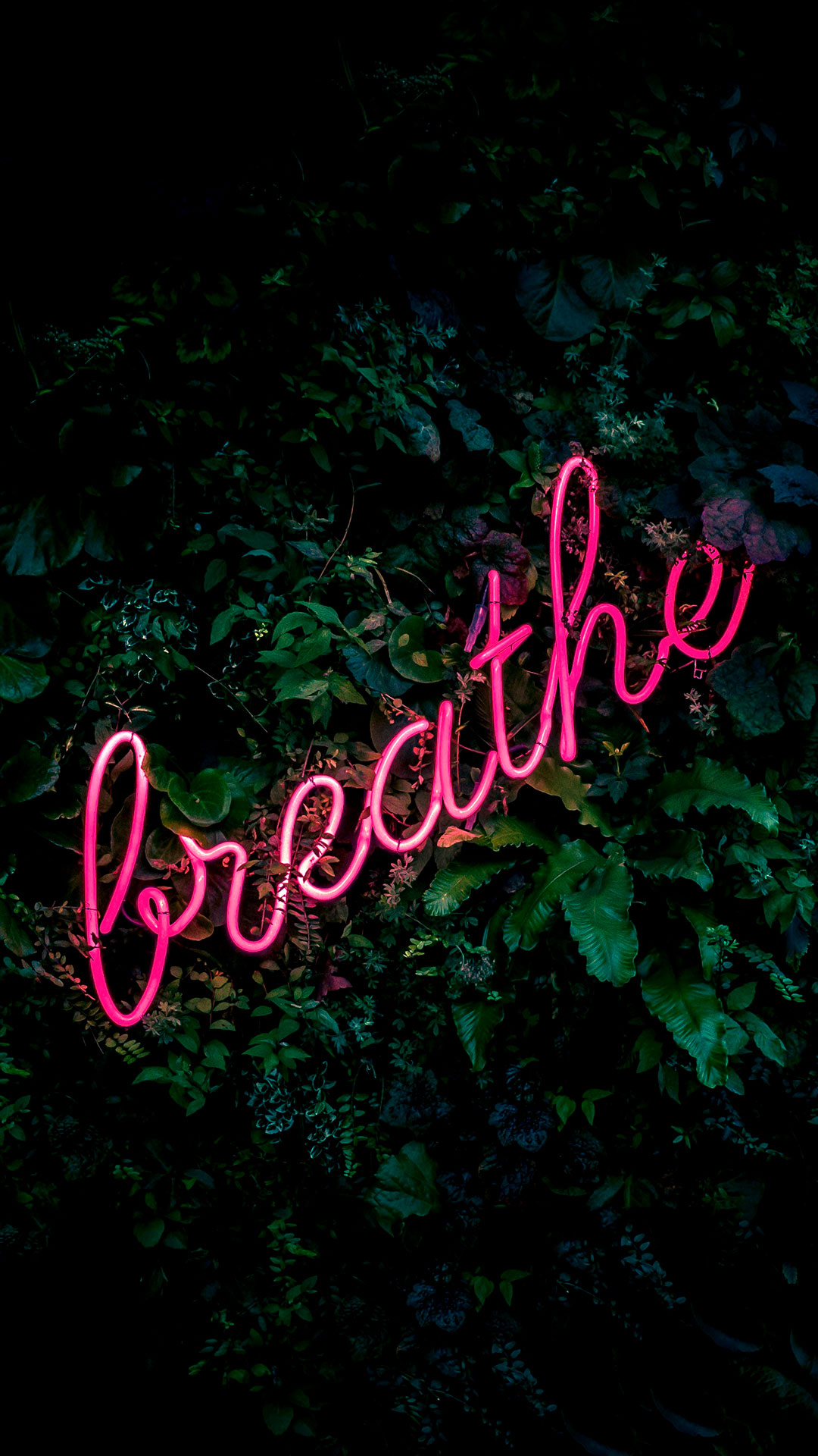 Neon Sign Wallpaper for iPhone 11, Pro Max, X, 8, 7, 6