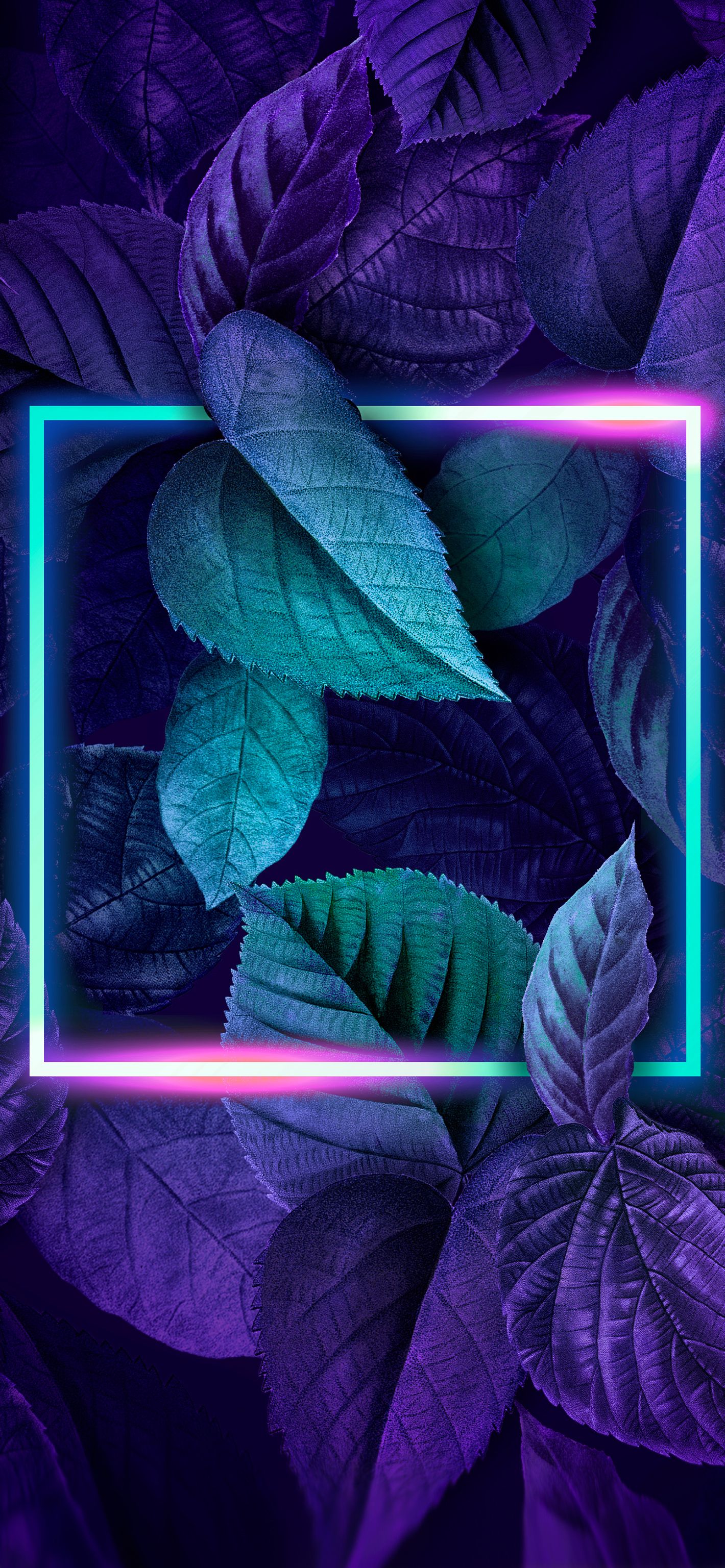 Leaves NEON. iPhone wallpaper photo, Neon wallpaper, iPhone wallpaper lights