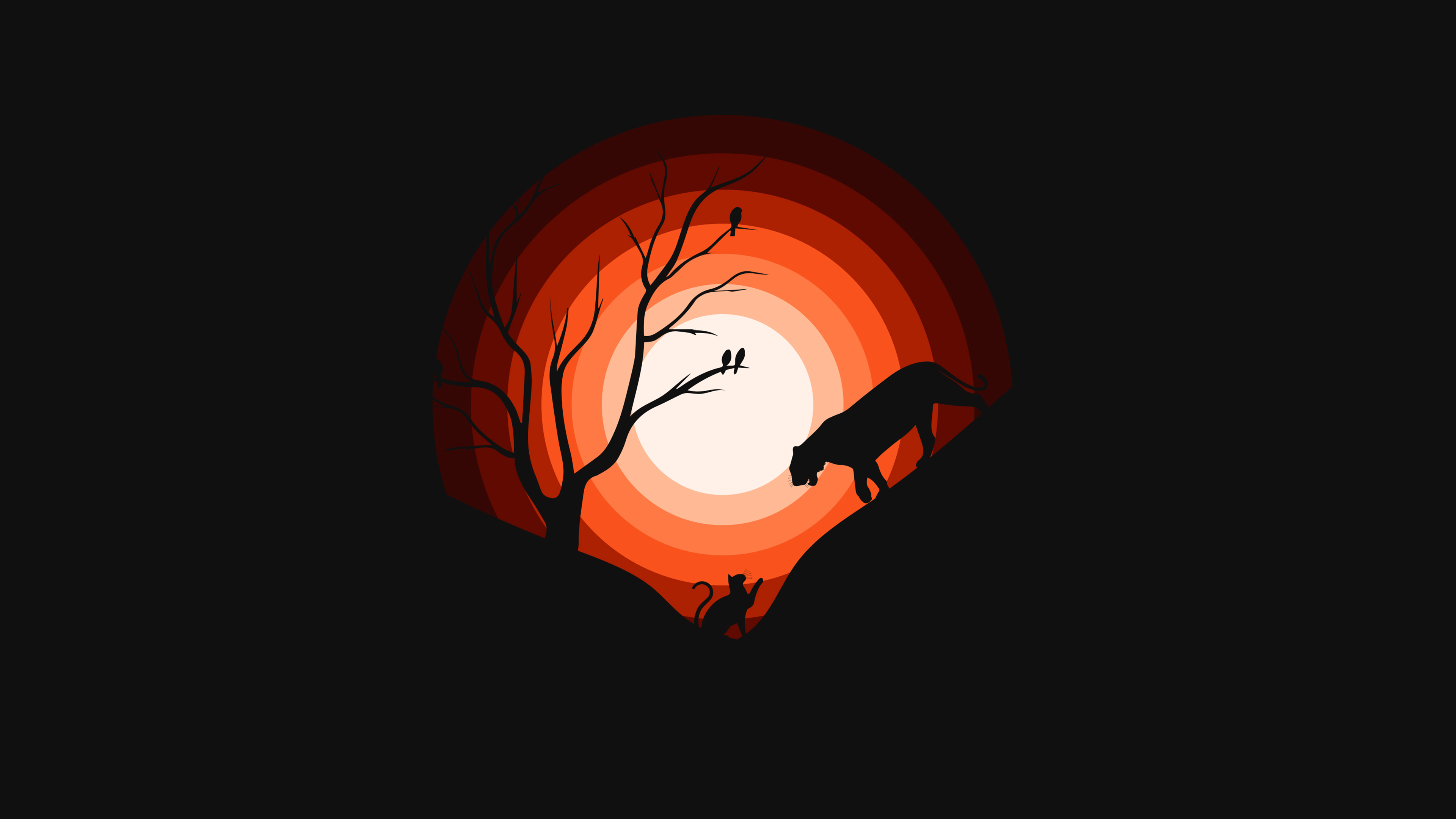 Jaguar Wallpaper 4K, Cat, Sun, Silhouette, Black Dark