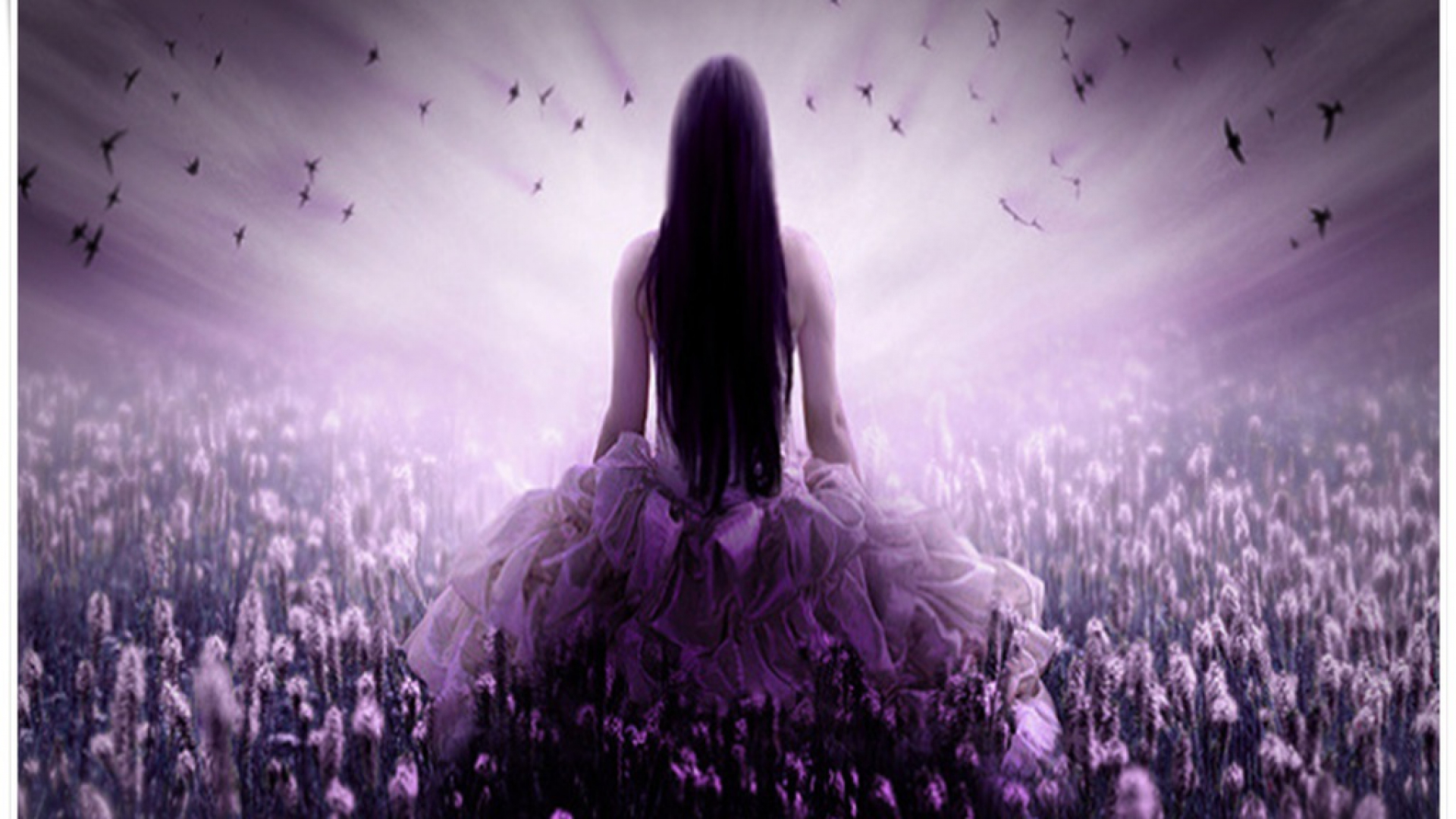 Woman Purple Hair Dress Field desktop PC and Mac wallpaper