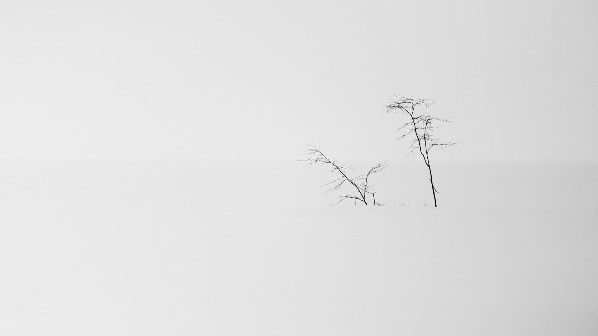 Minimalist White Aesthetic Desktop Wallpapers Wallpaper Cave Minimalist White Aesthetic Desktop Wallpapers Wallpaper Cave