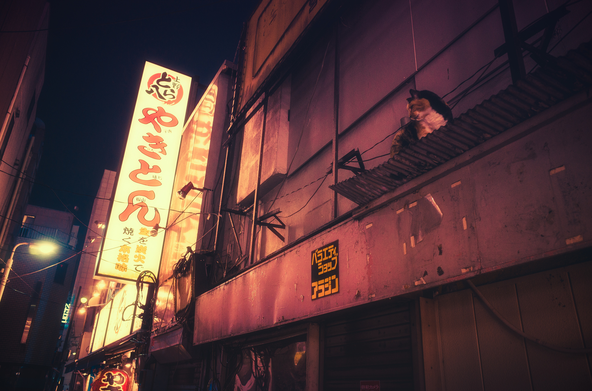 Street Light HD Wallpaper and Background