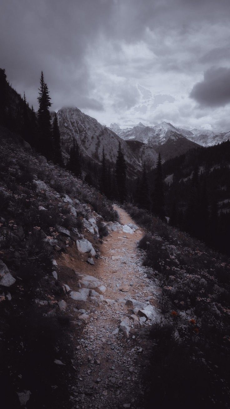 lost//. Nature photography, Forest fairy aesthetic, Landscape photography