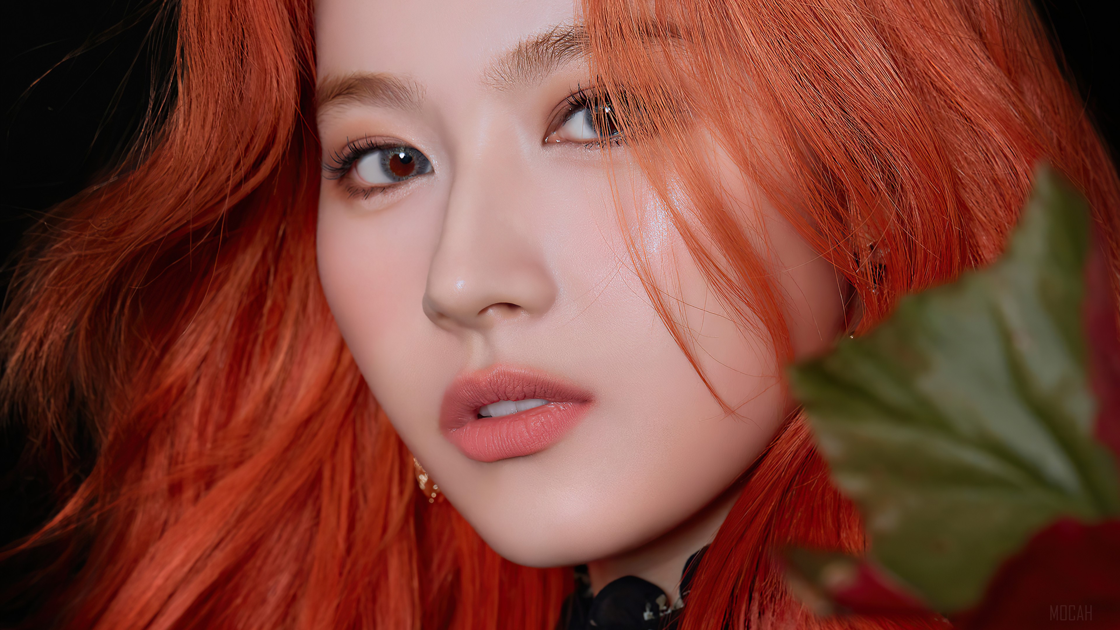 Sana 1080P, 2k, 4k HD wallpaper, background free download