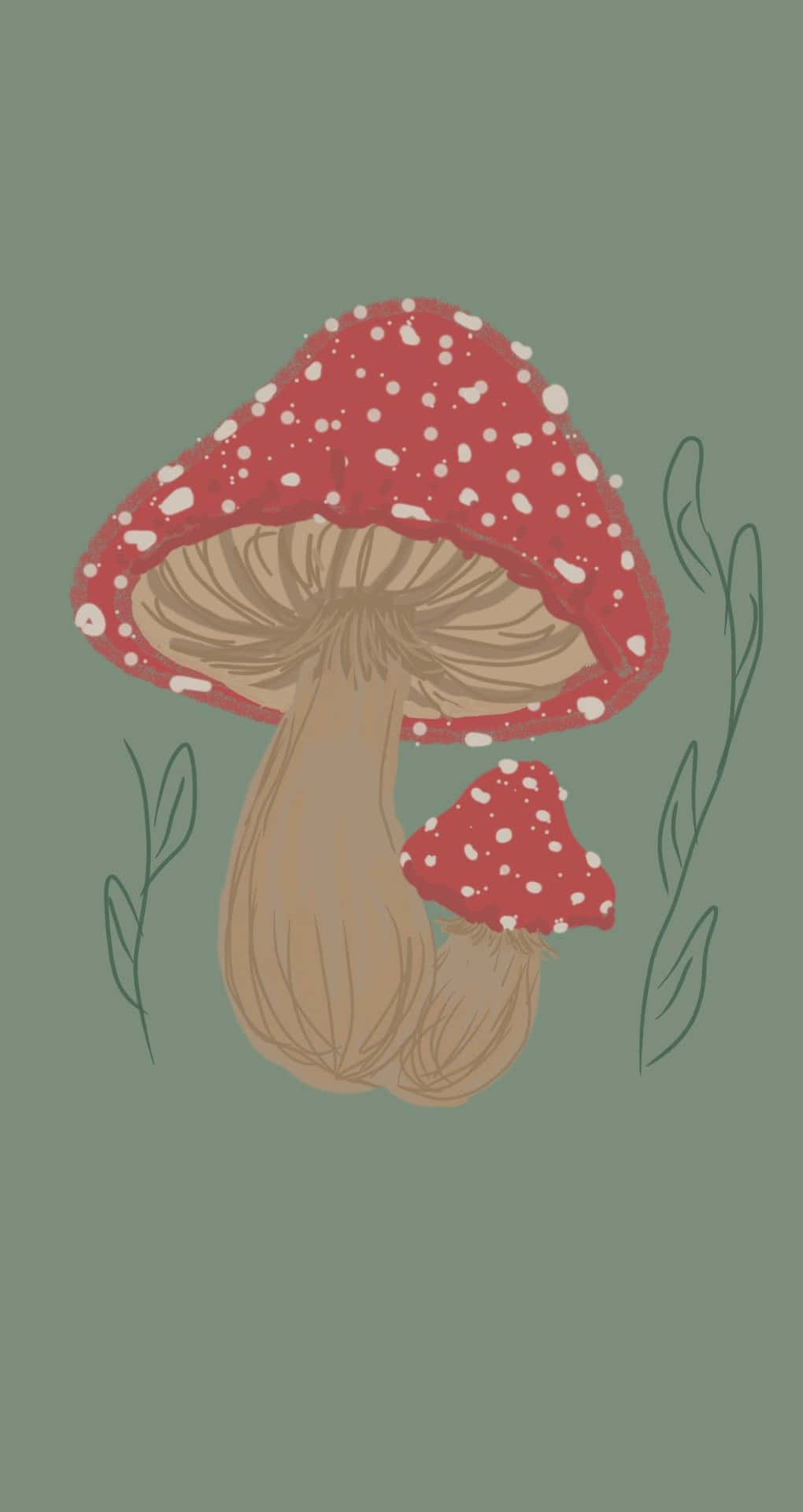 Mushroom Phone Wallpaper for FREE