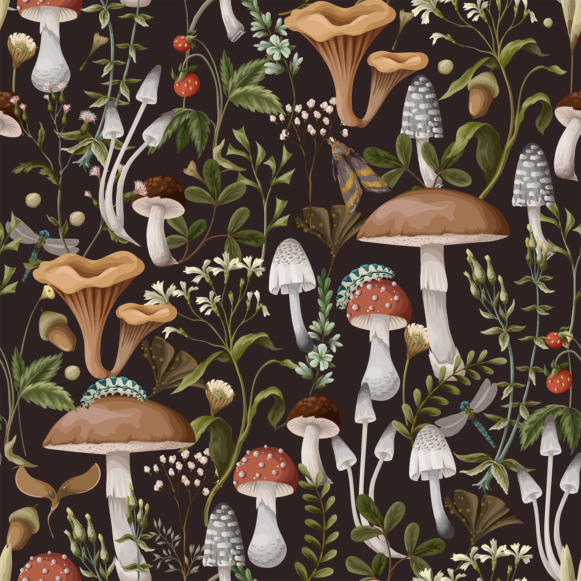 Botanical Mushrooms Wallpaper Vintage Mushrooms Mural Peel