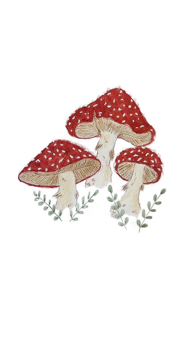 Red mushrooms. Mushroom drawing, Mushroom wallpaper, Mushroom art